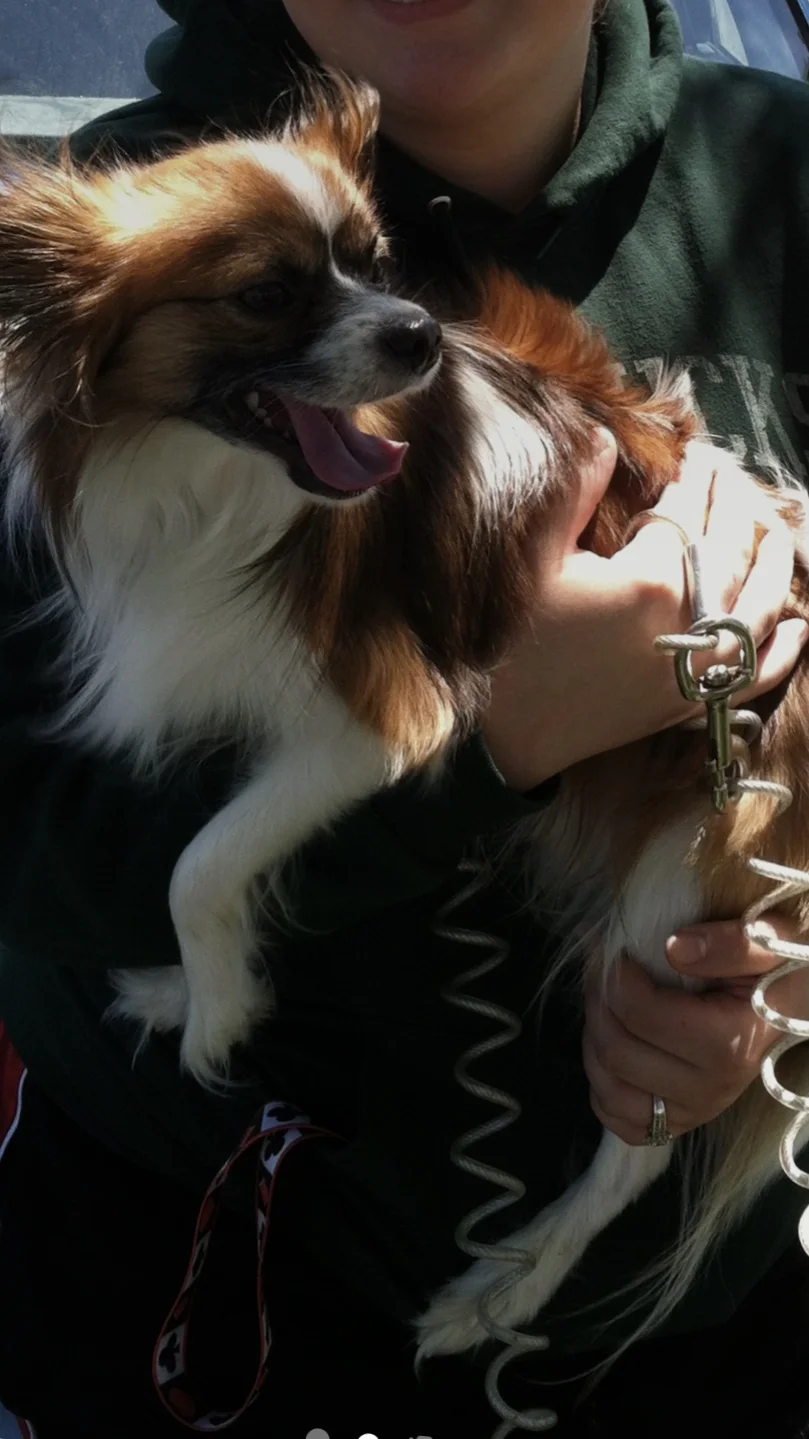 Thank You for Helping Our Rexy Have His Life to Live Again