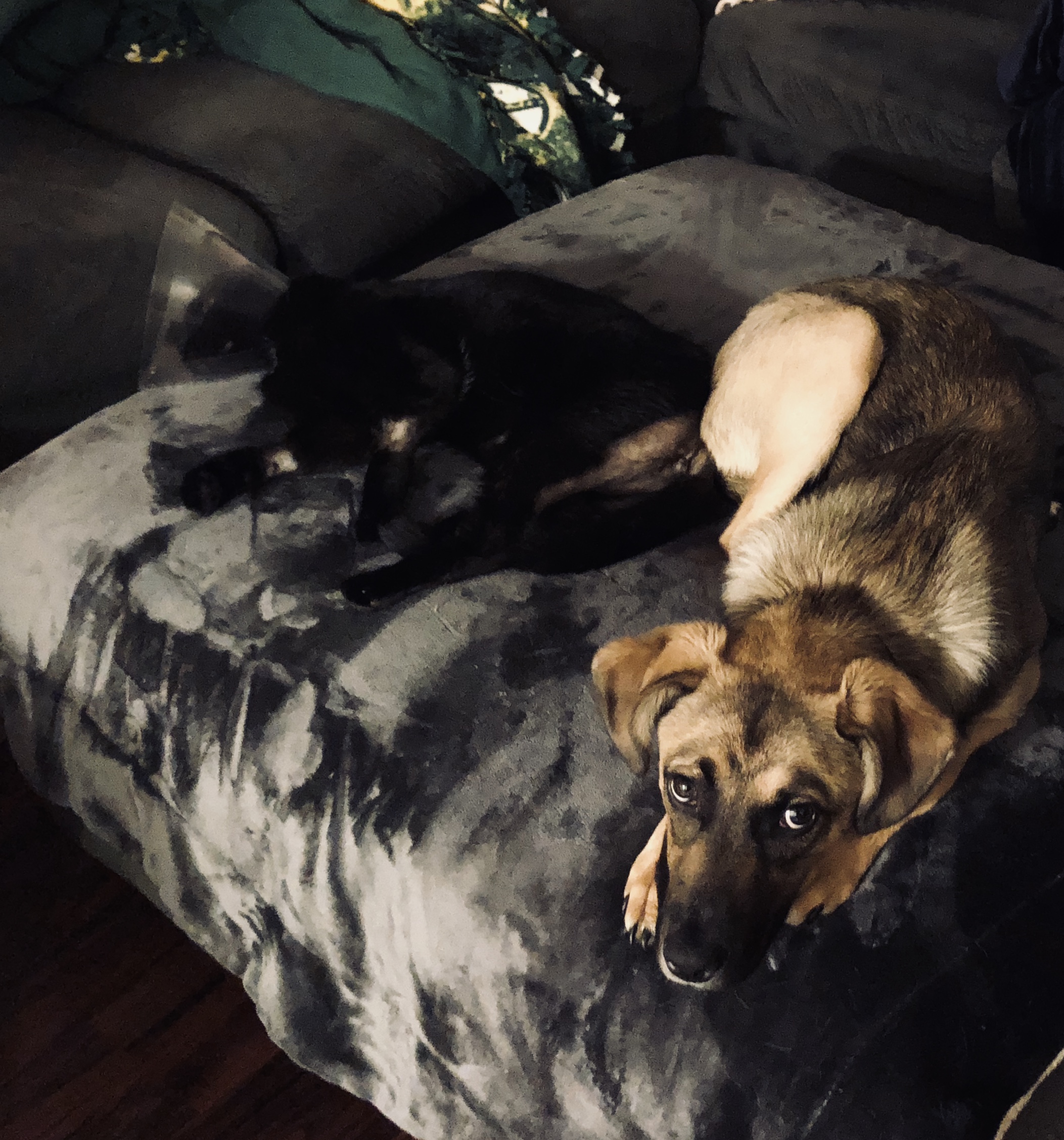image1.jpeg