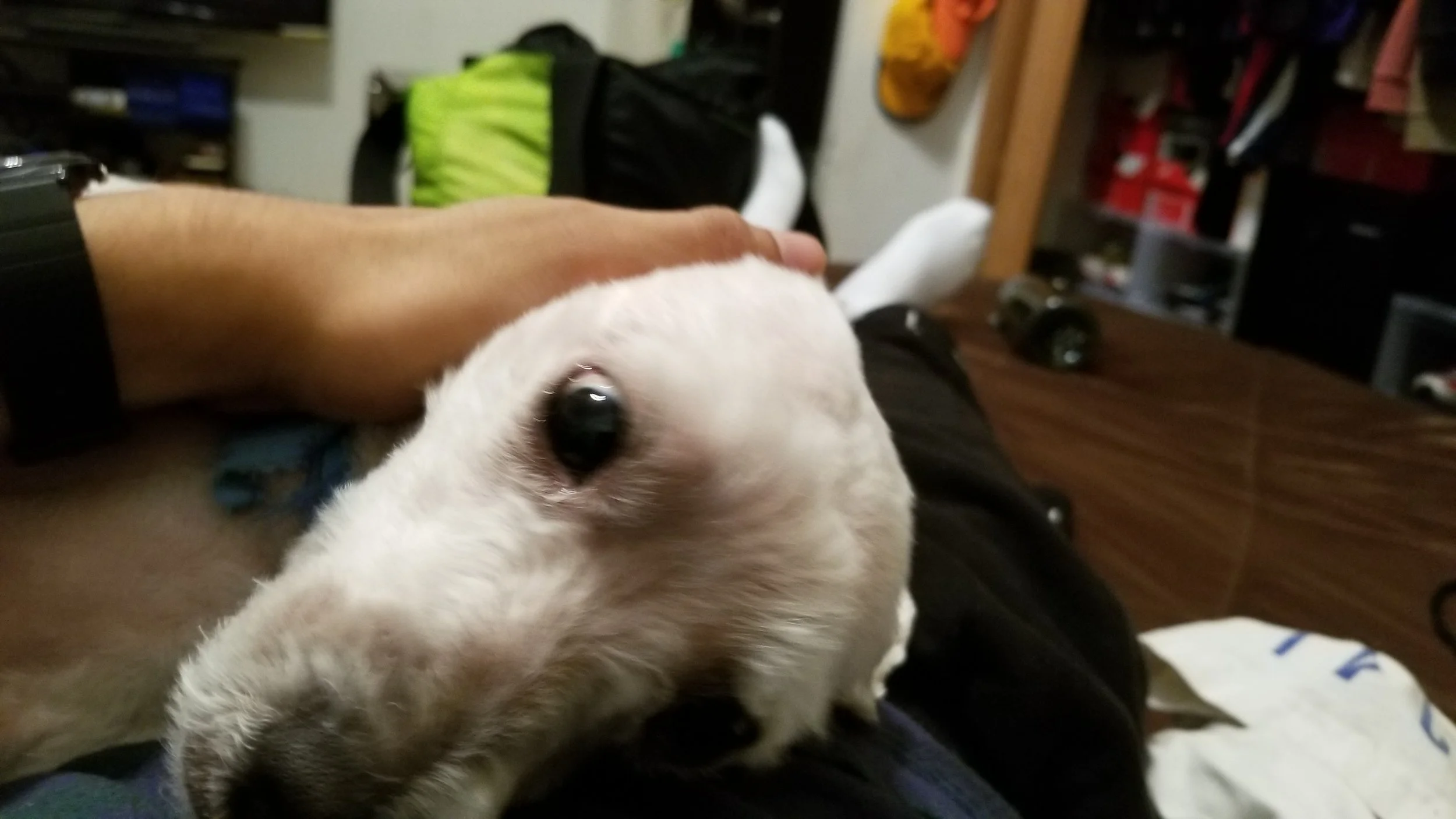 20180526_003910.jpg