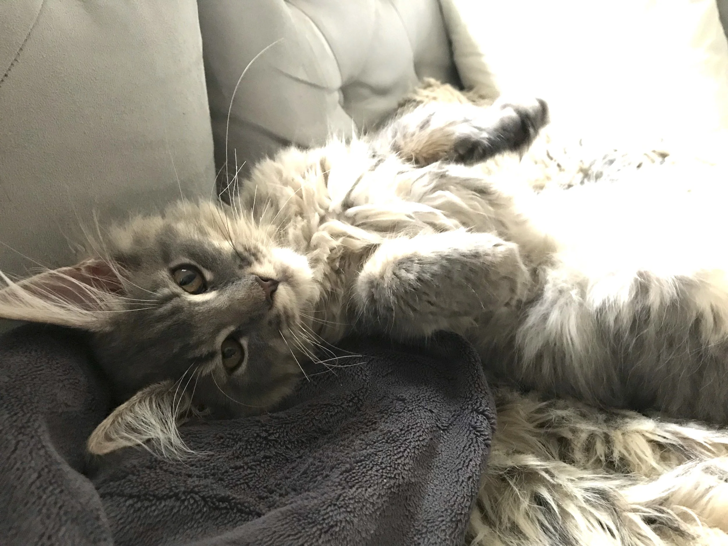 Thank You for the Blessing and Helping Our Sweet Dakota