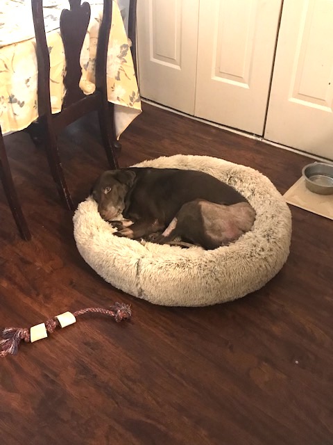 image4.jpeg