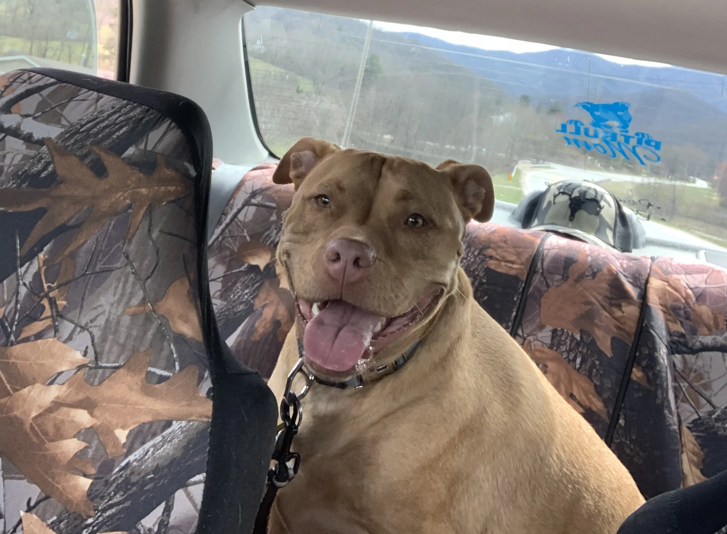 Thank You for Helping My Fur Baby Georgetta Live a Long and Pain Free Life!