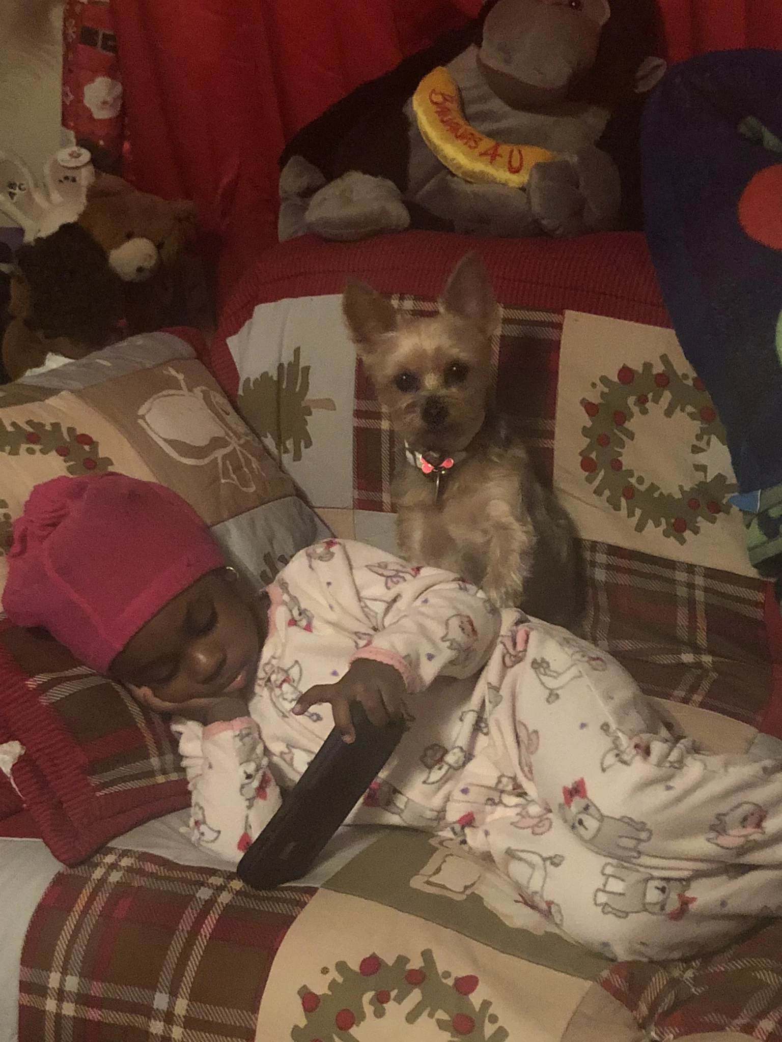 Thank You for Helping Foxy, We Couldn't Imagine Life Without Her