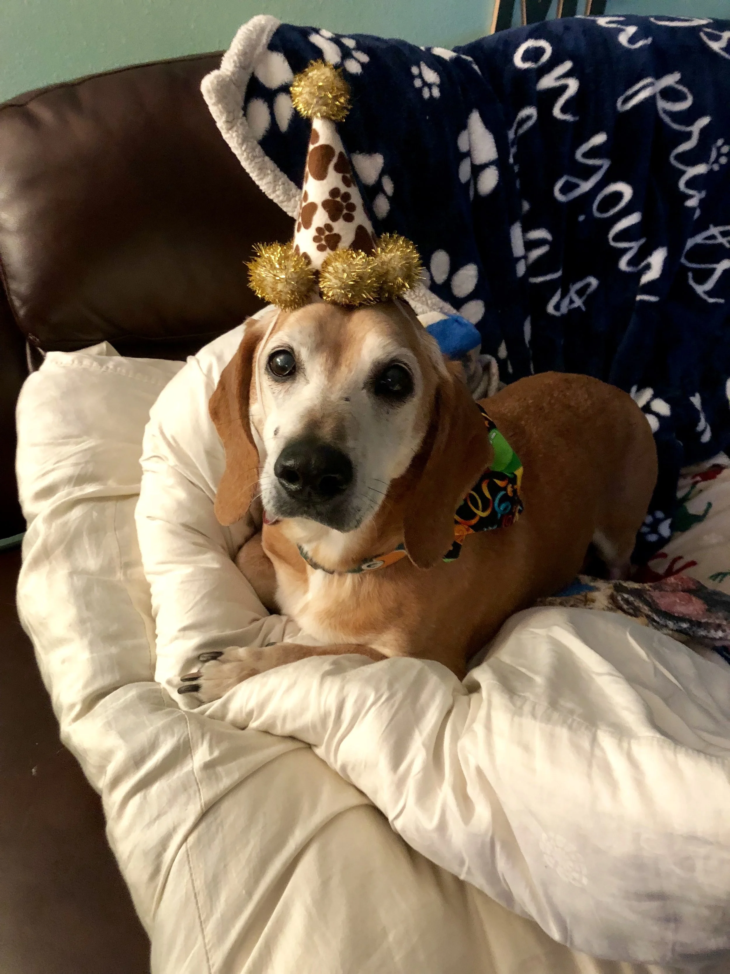 Thank You for Helping Maverick, He is Like a Son to Us