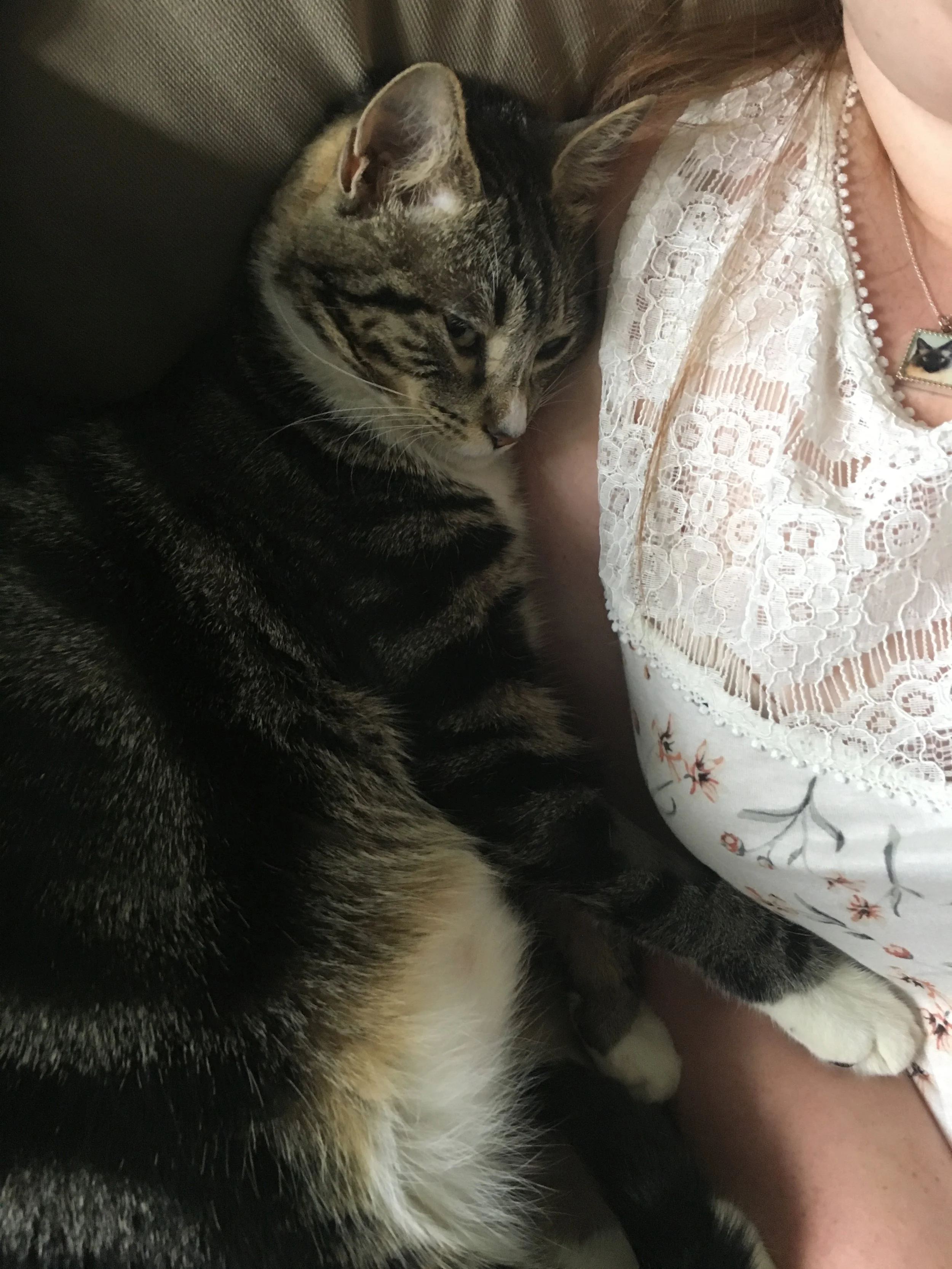 Your Generous Donation Helped to Save Leo, Thank You From the Bottom of Our Hearts