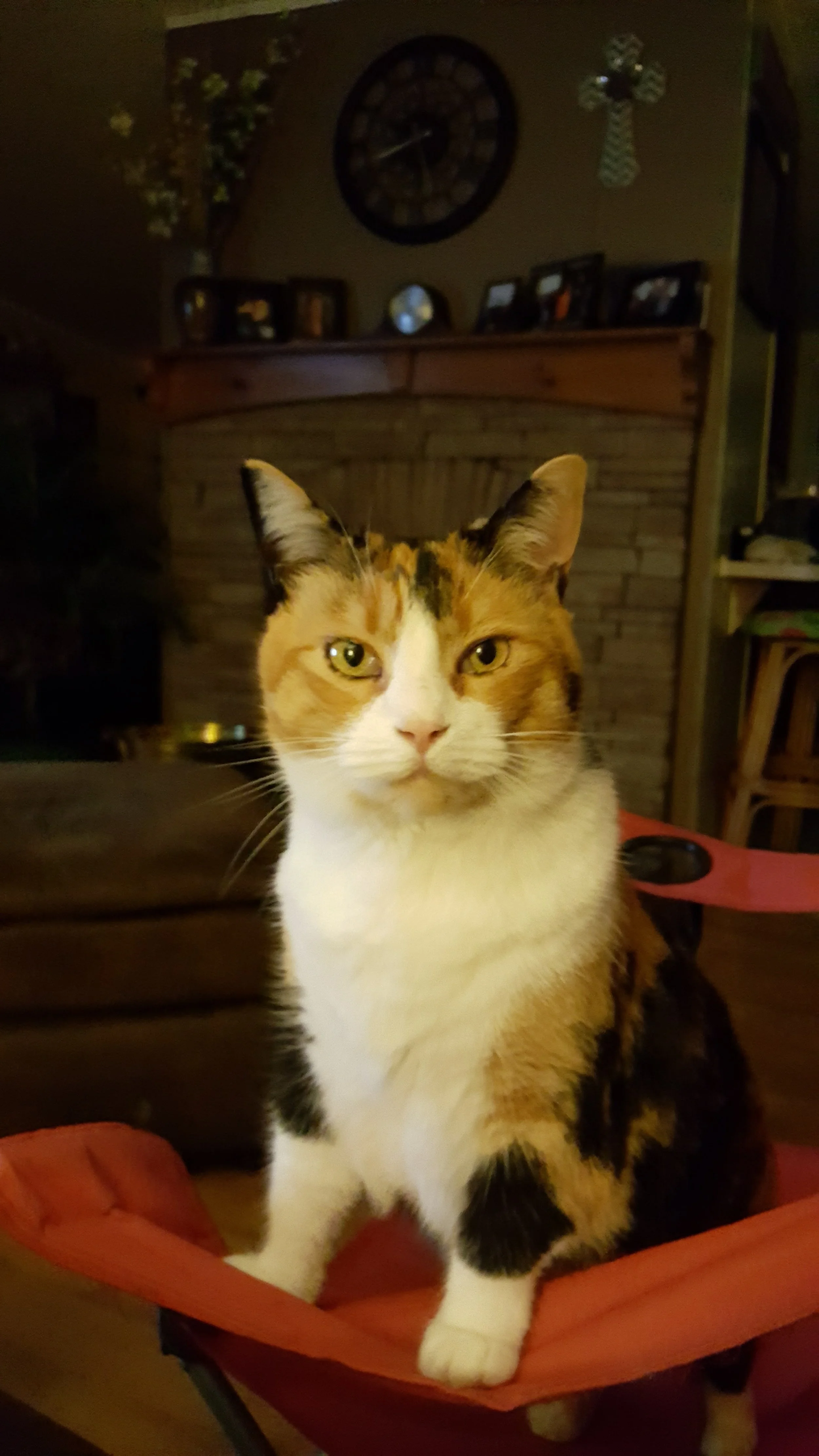 20170117_202732.jpg