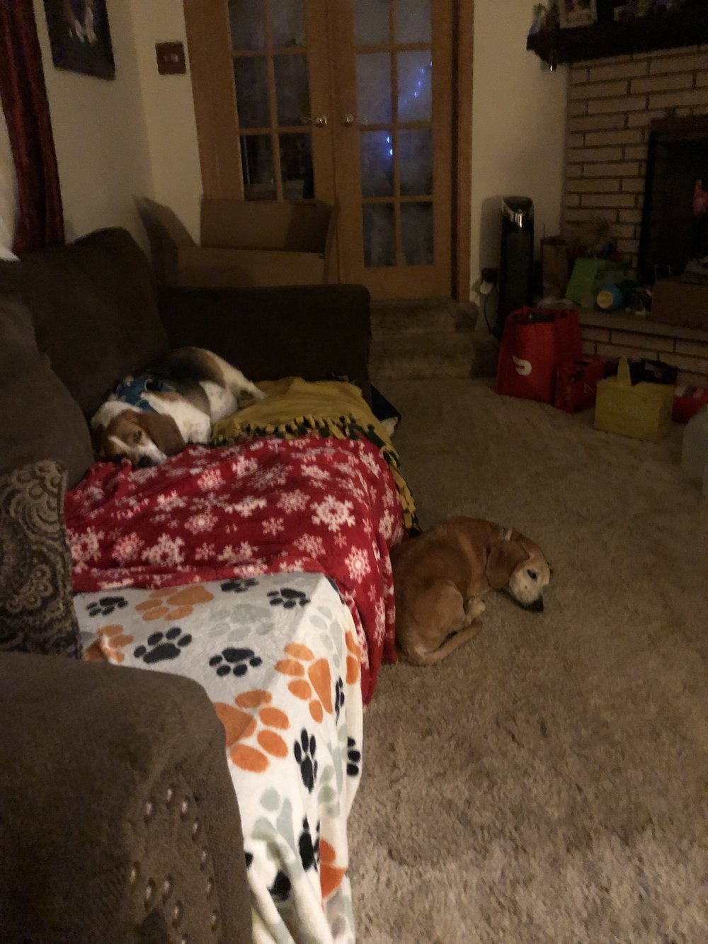 image2.jpeg