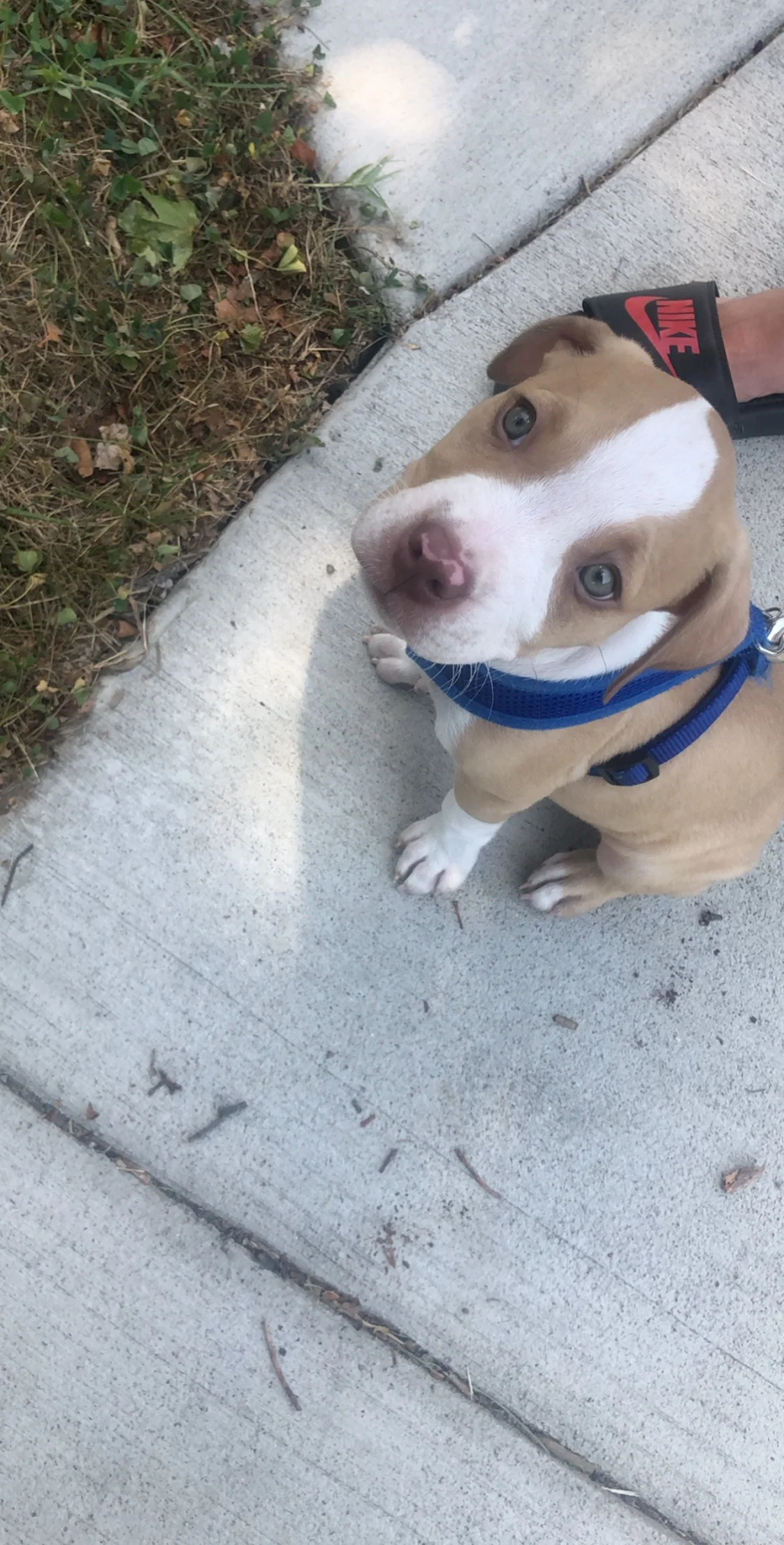 Thank You for Helping Our Baby Blue!