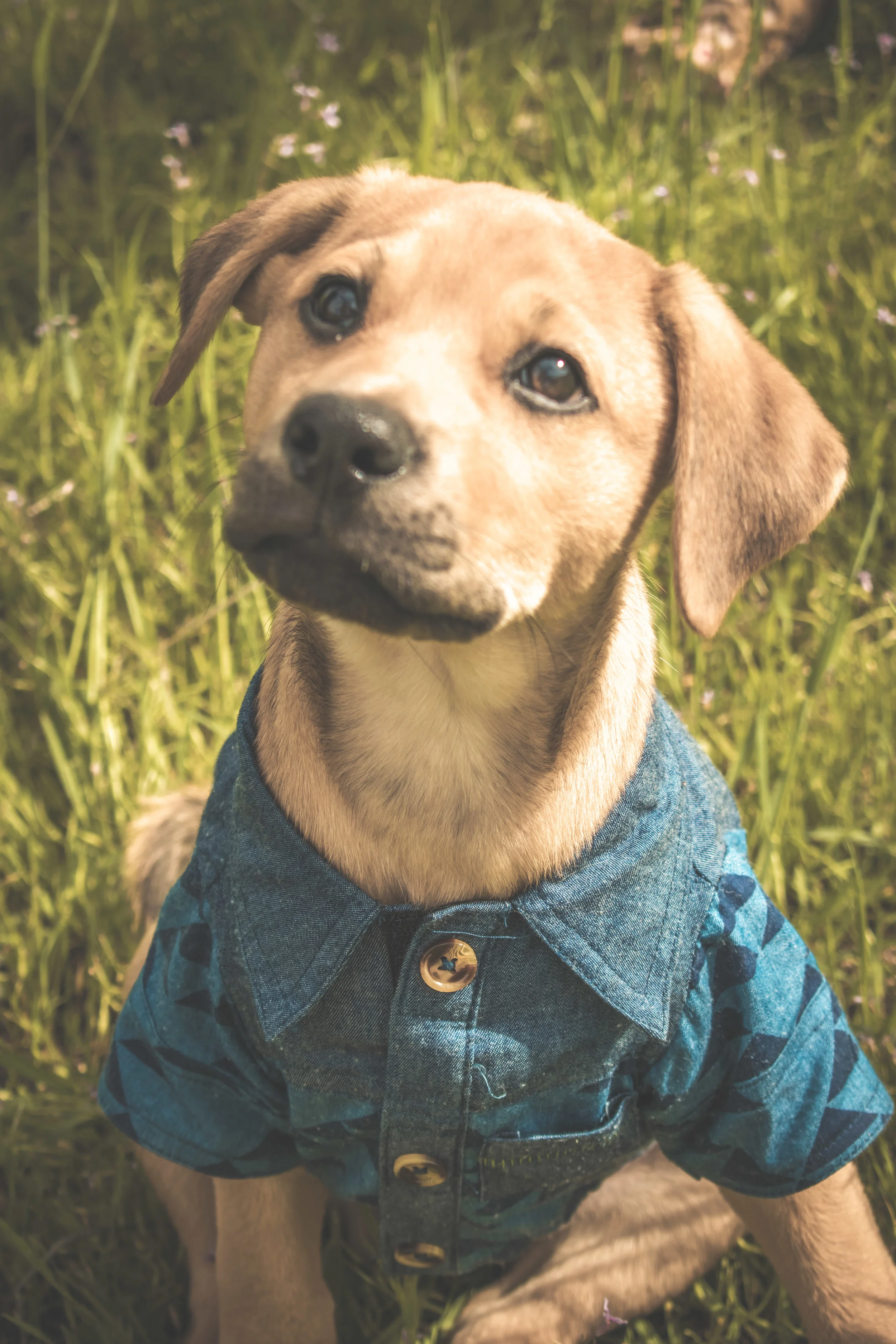 Thank You for Helping Our Sweet Charlie Bear!