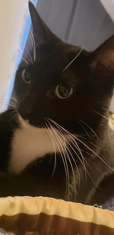 You Made a Huge Difference in Onyx's Life!