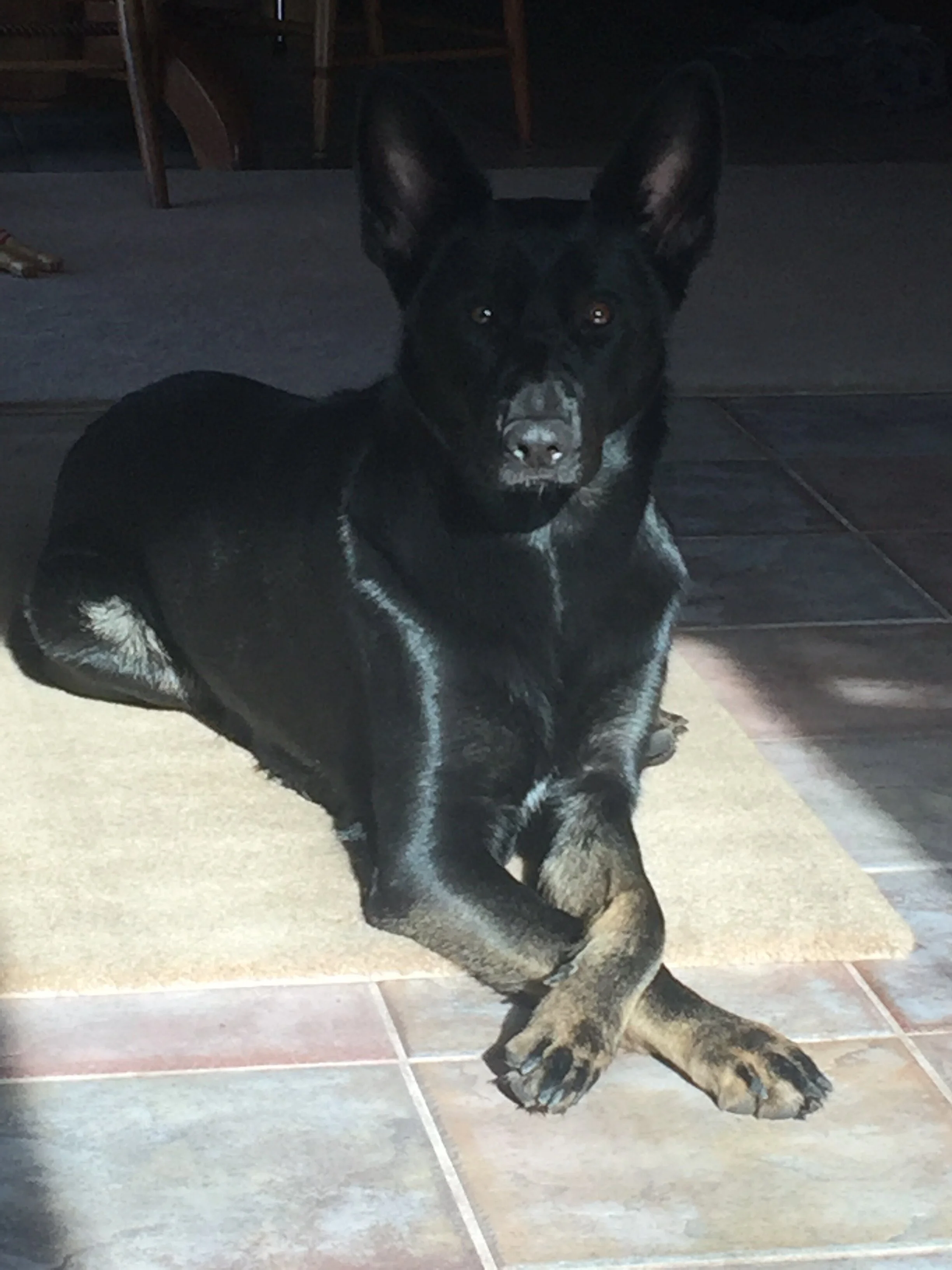 Thank You for Helping Keyla, We Don't Know Where We'd Be Without Her