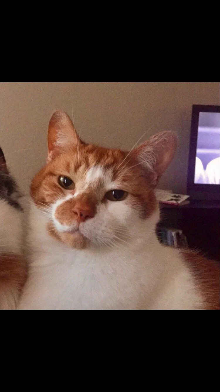 Thank You from the Bottom of My Heart for Helping to Save Samson