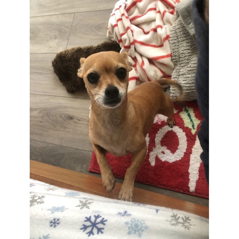 Thank You to Those Who Chose To Be the Angels for My Lola