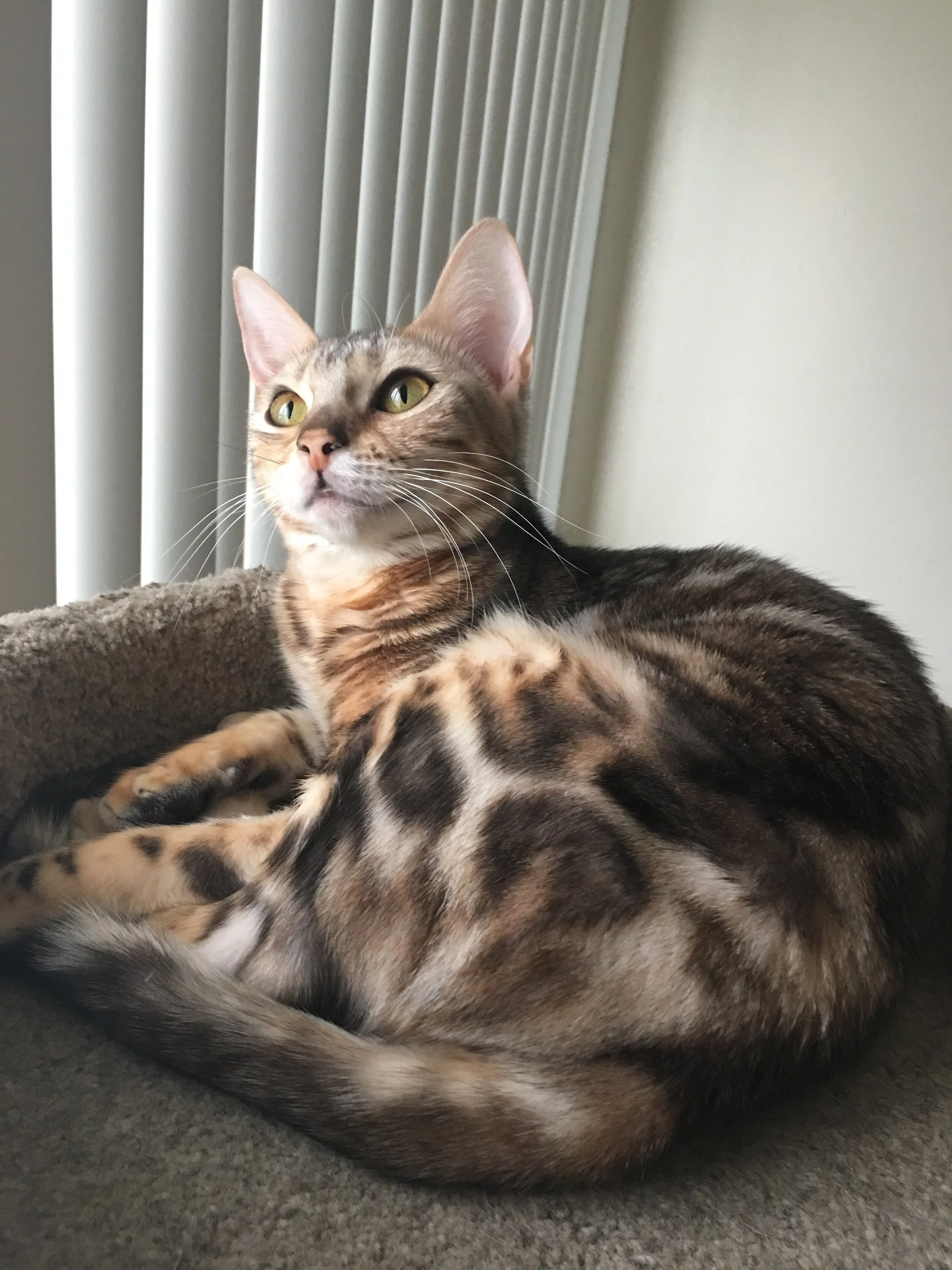 Your help for Itsy has been a lifesaver