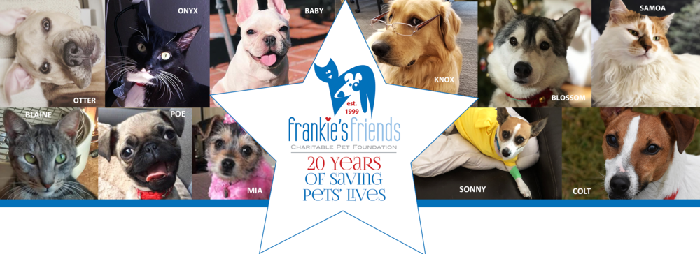 HOPE FUNDS — Frankie's Friends