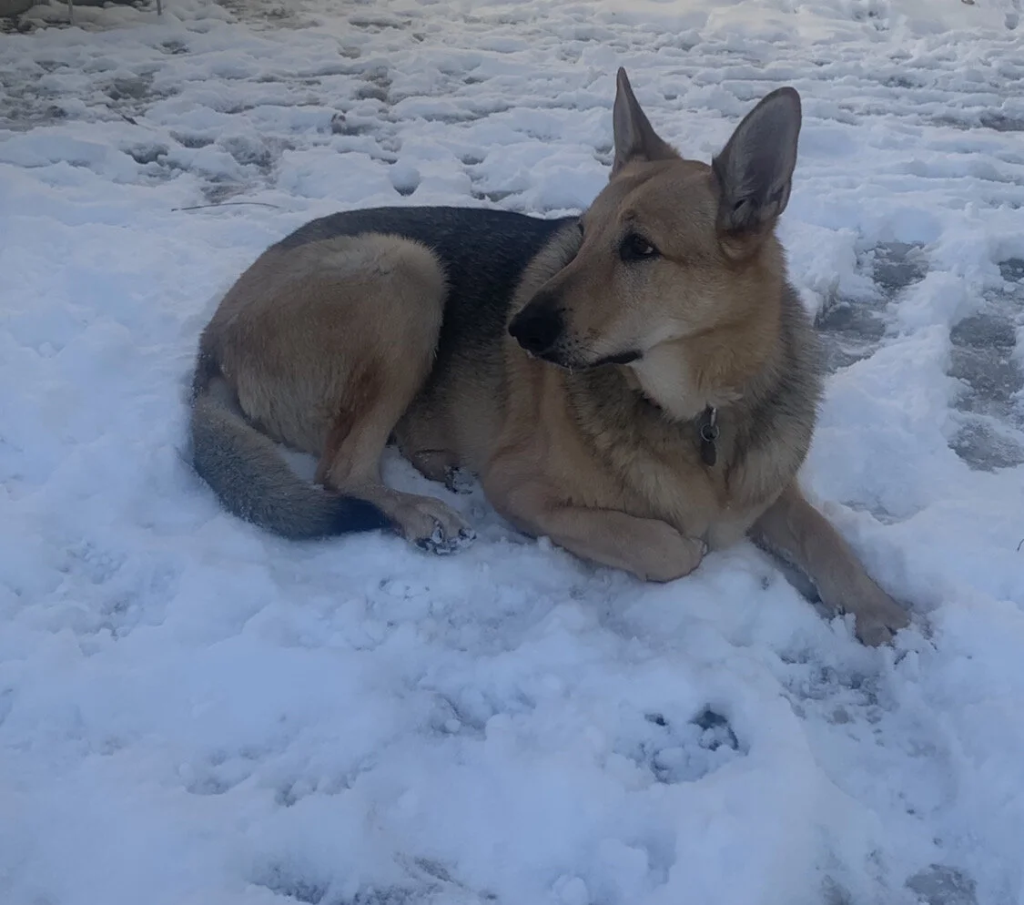 Thank You to Everyone Who Dug Deep Into Their Hearts to Help Scarlett