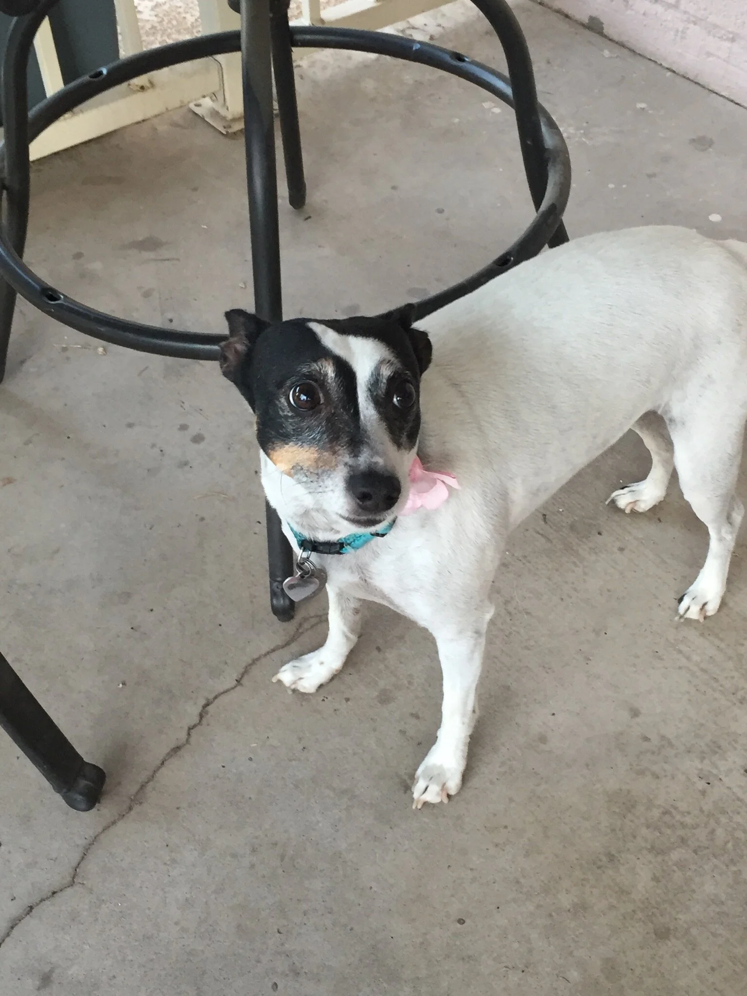 Thank you so much for helping save our Buddy!