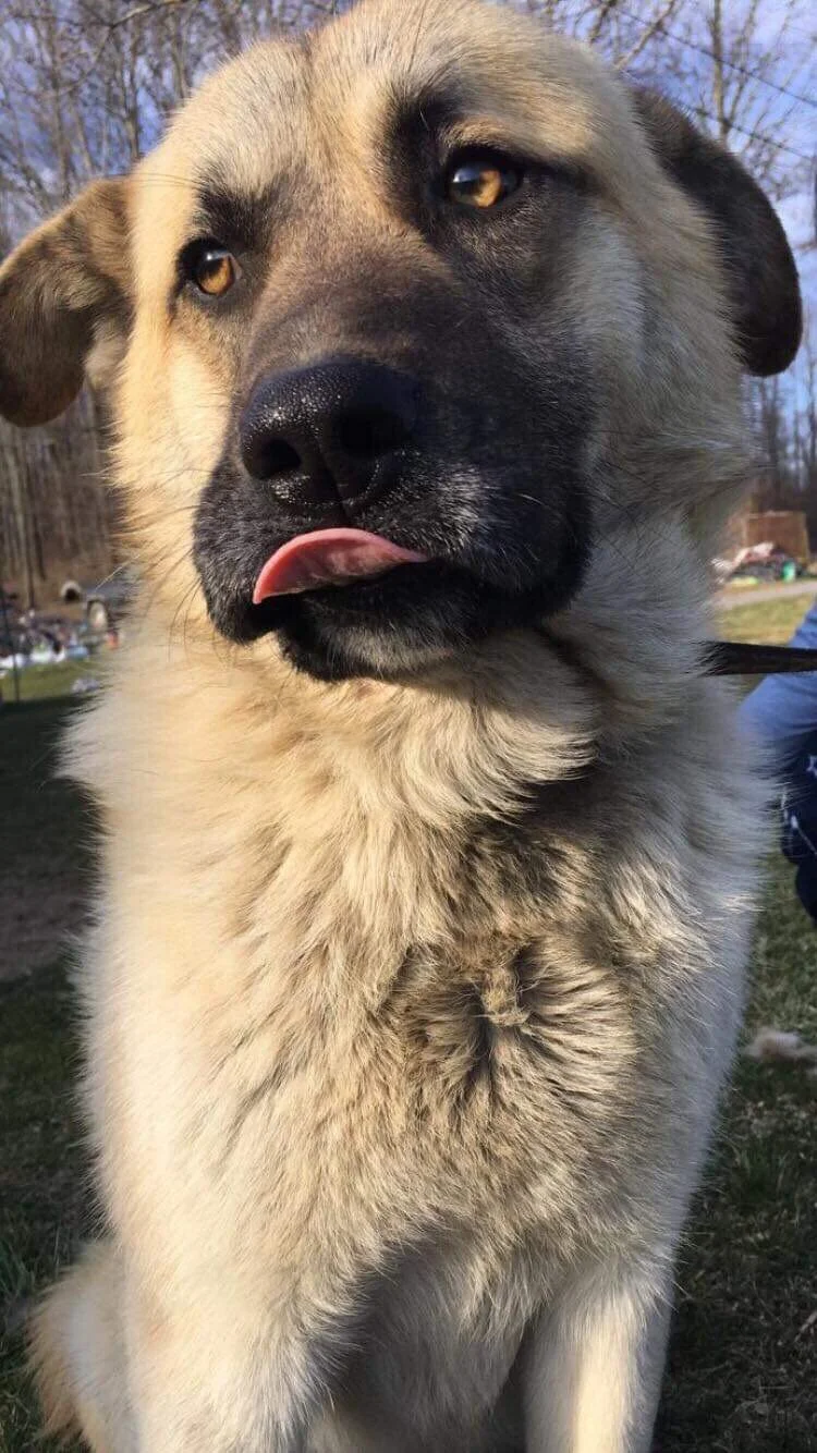 Thank You for Helping Kenai. You Are Such a Blessing.