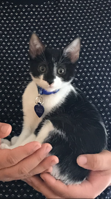 Thank You for Helping Echo - You Were Literally a Lifesaver