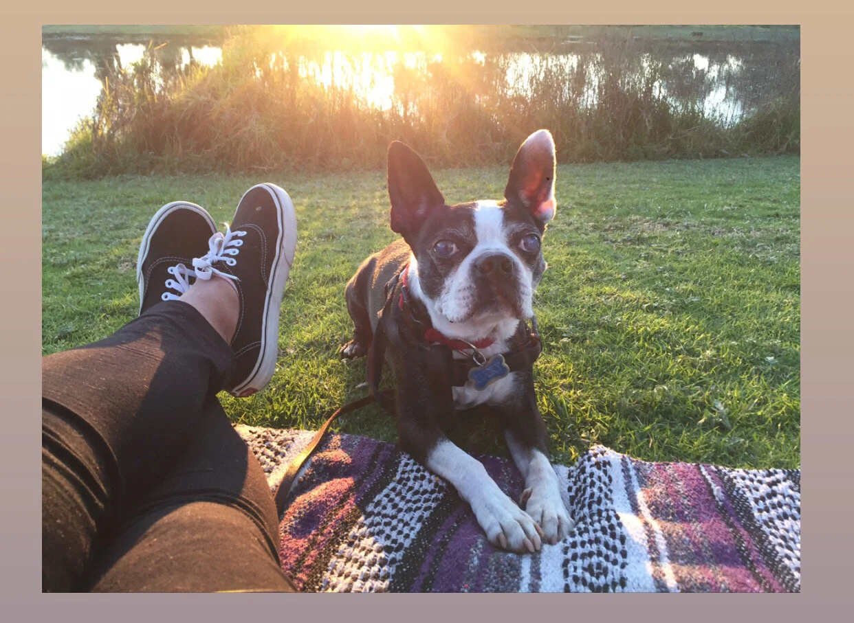 With your help Lucky is now able to enjoy the rest of senior citizen life being an adventure dog!