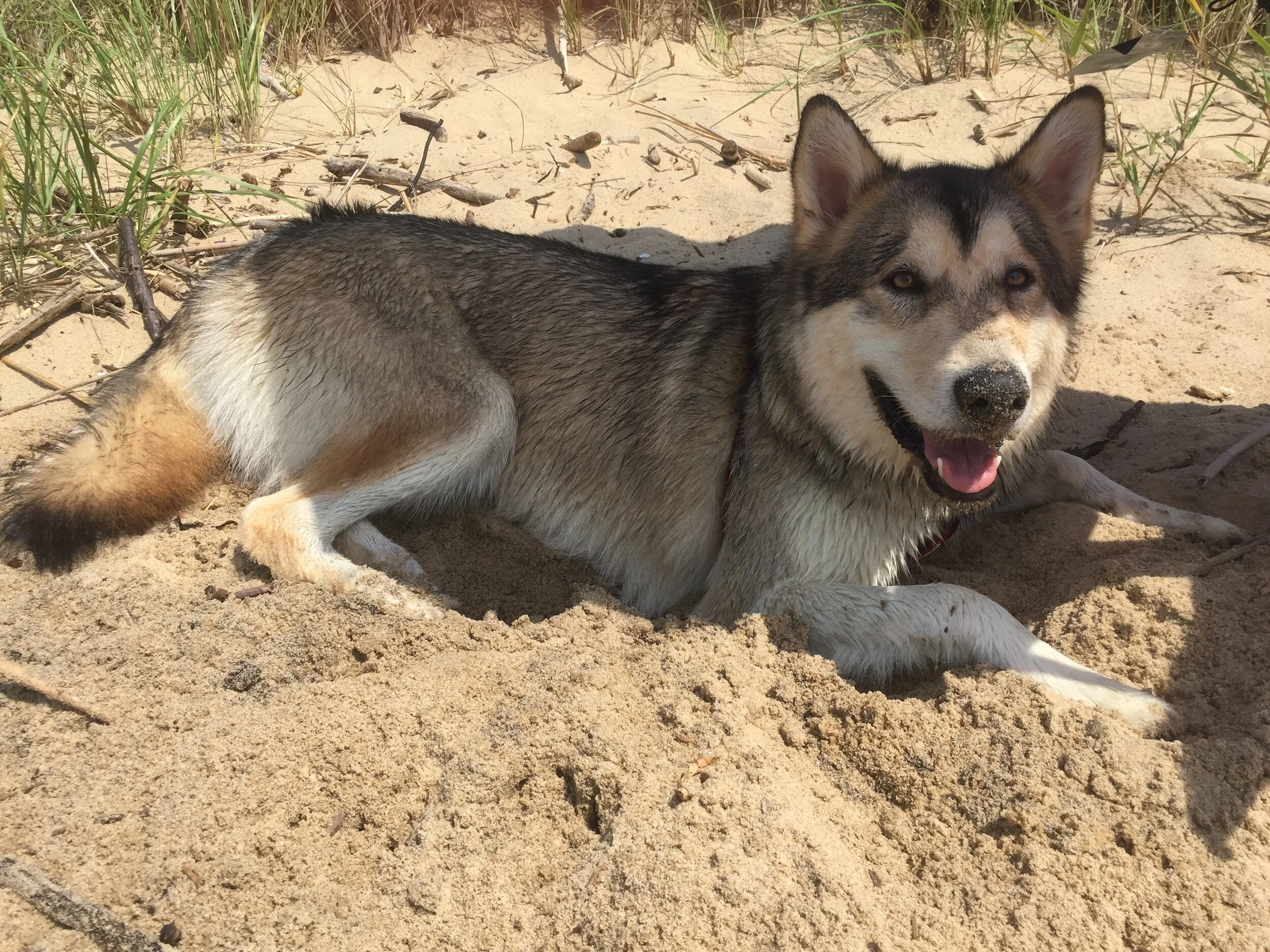 Thank you for helping my best friend Yuki
