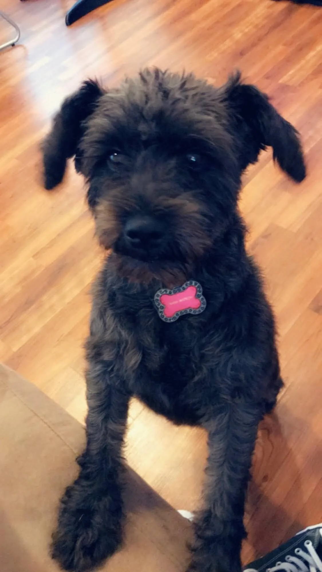 In Loving Memory of Diana Prince Watson