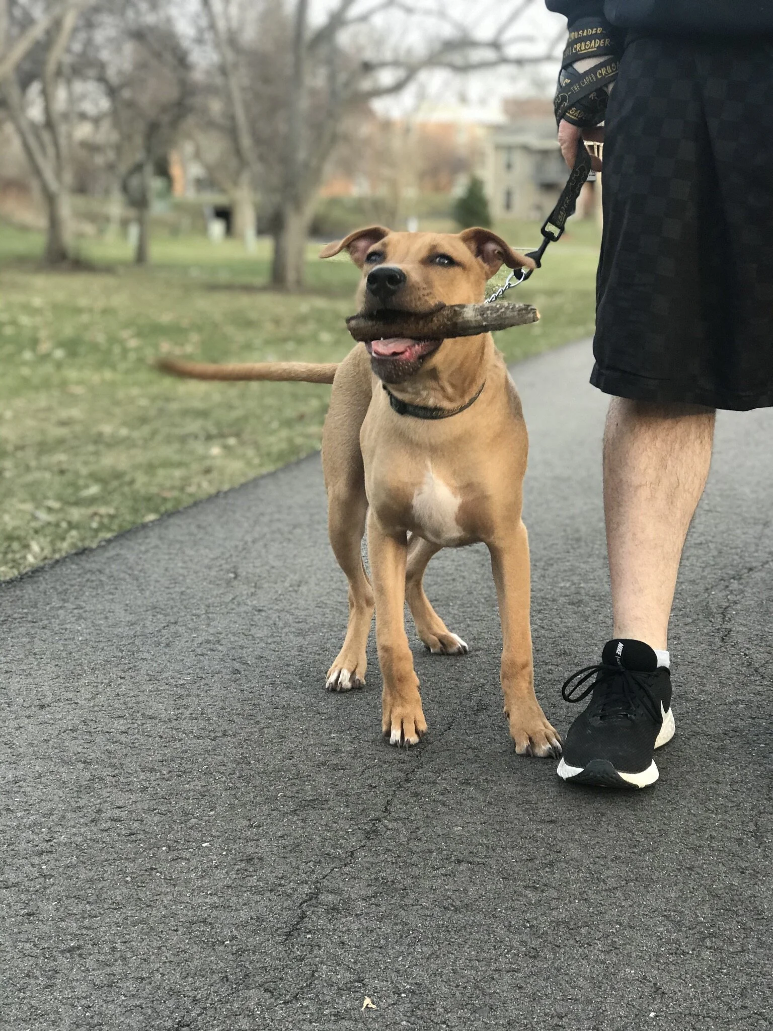 Thank you for keeping this guy’s smile alive, everyone. And thank you for helping us keep Echo, this amazing, one in a million dog.