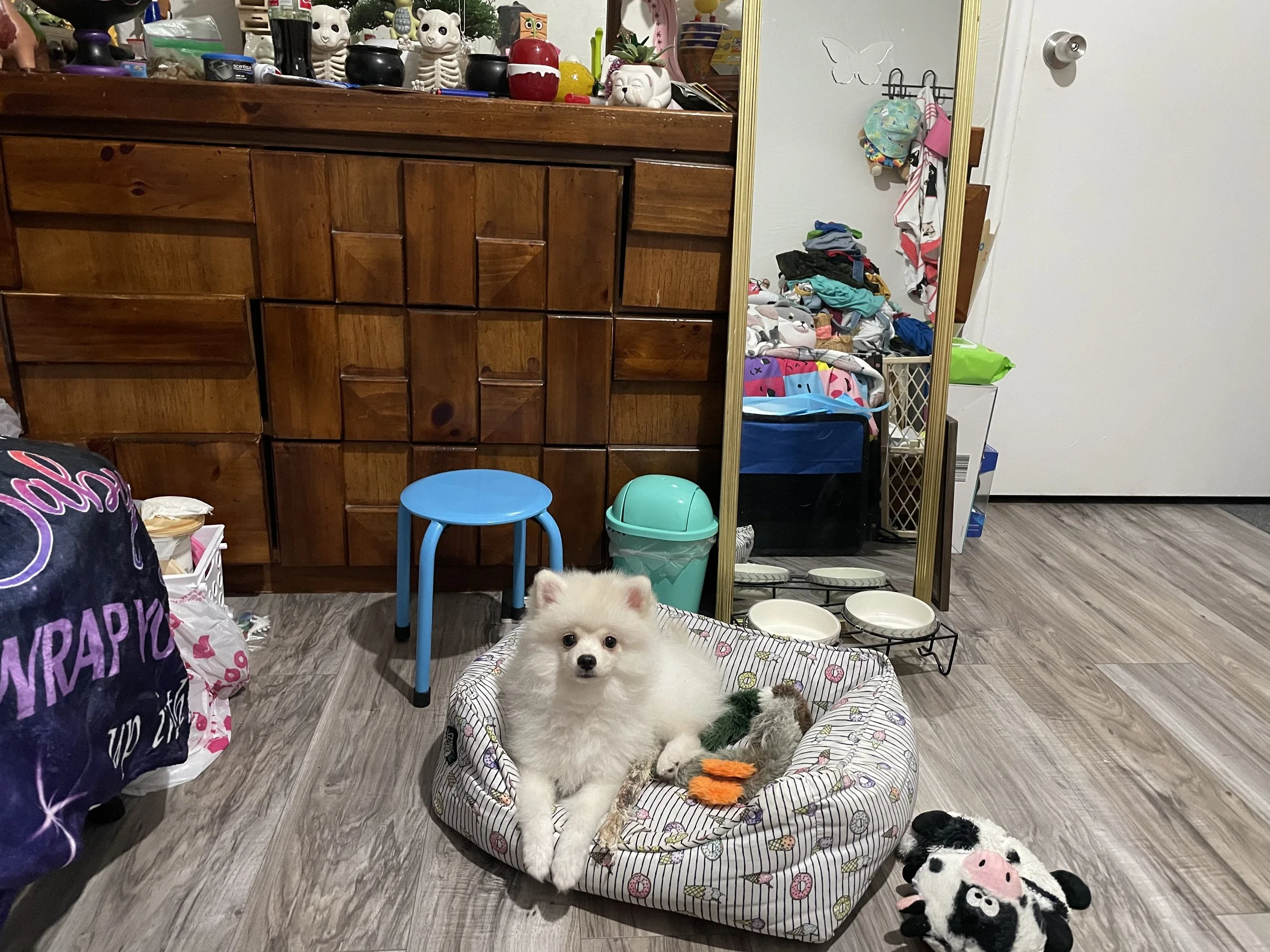Kenshin's surgery means so much to our family.