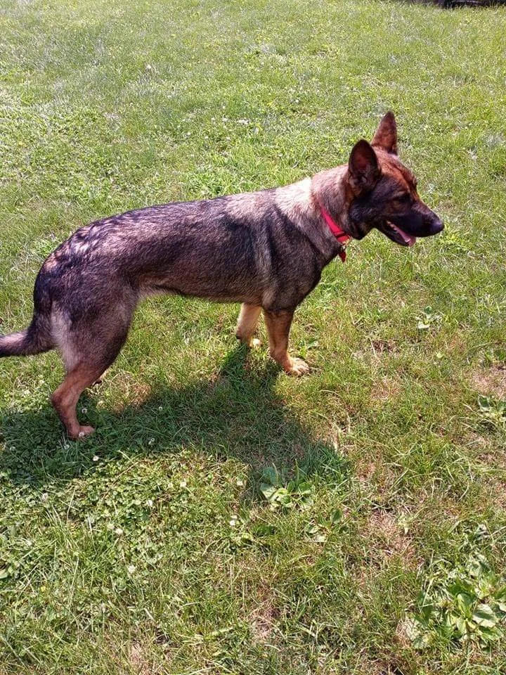 Thank you for helping to bring our baby girl Myah back home with us.