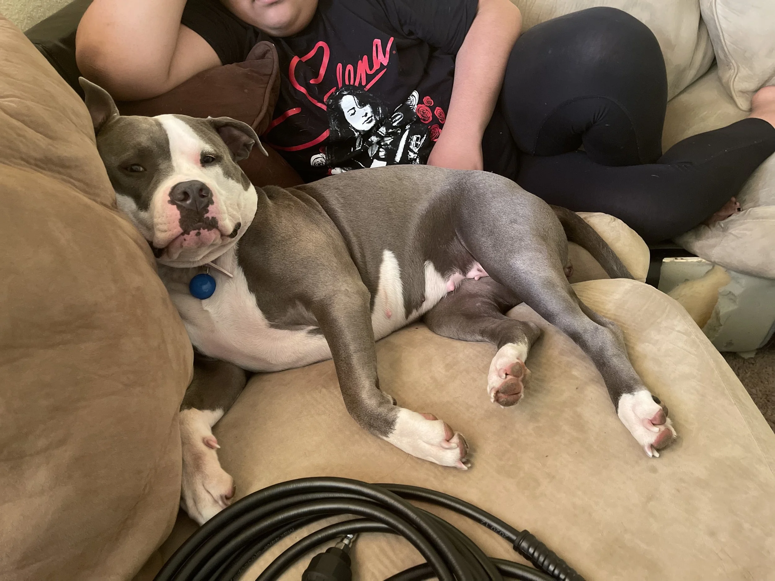 This is the biggest blessing. Thank you for helping Coqueta.