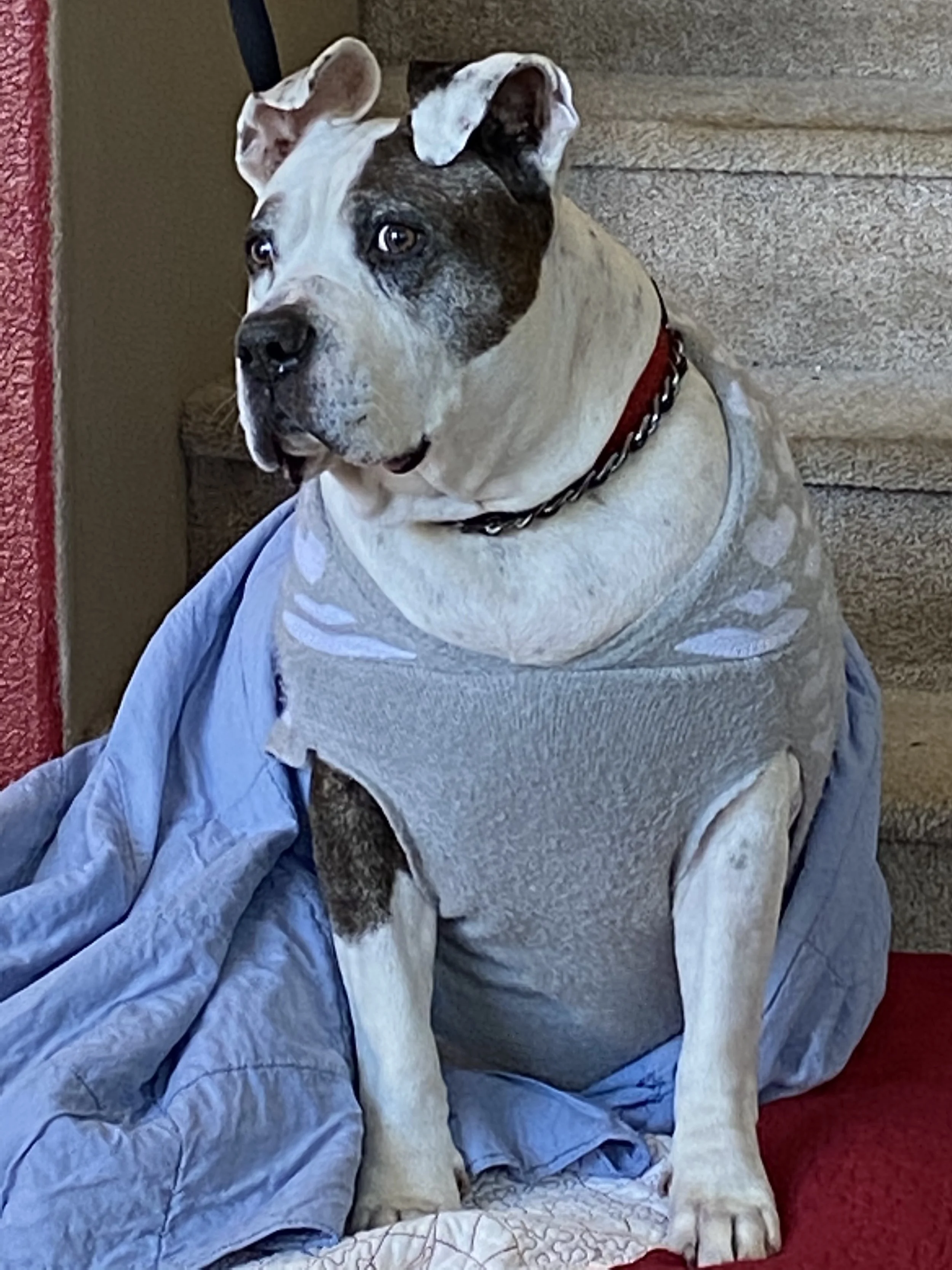 You have saved my best friend, Hank Williams. I have had my prayers answered.