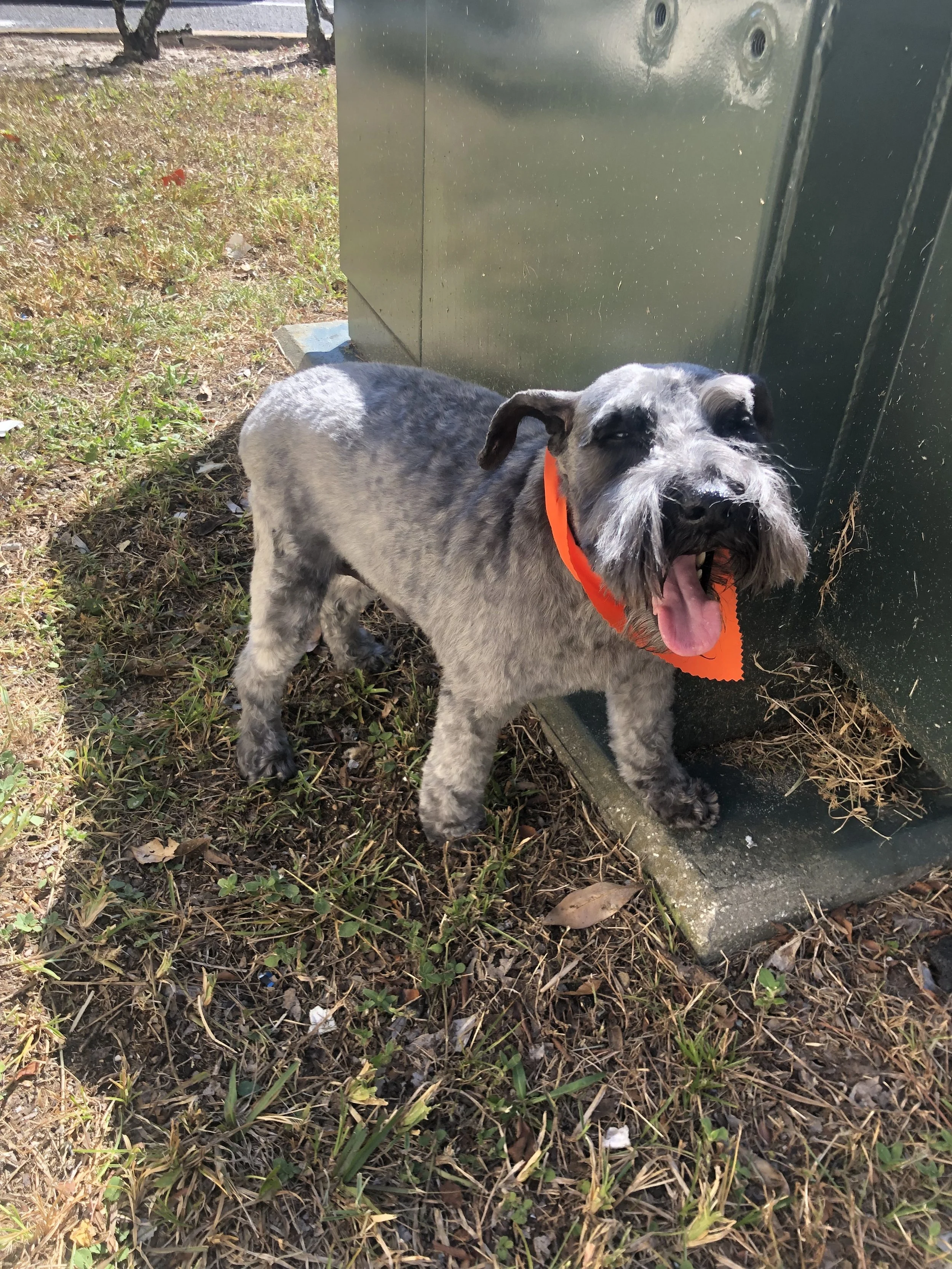 I want to thank you with all my heart for what you have done for my Alejandro, for me and my family, we are so grateful!