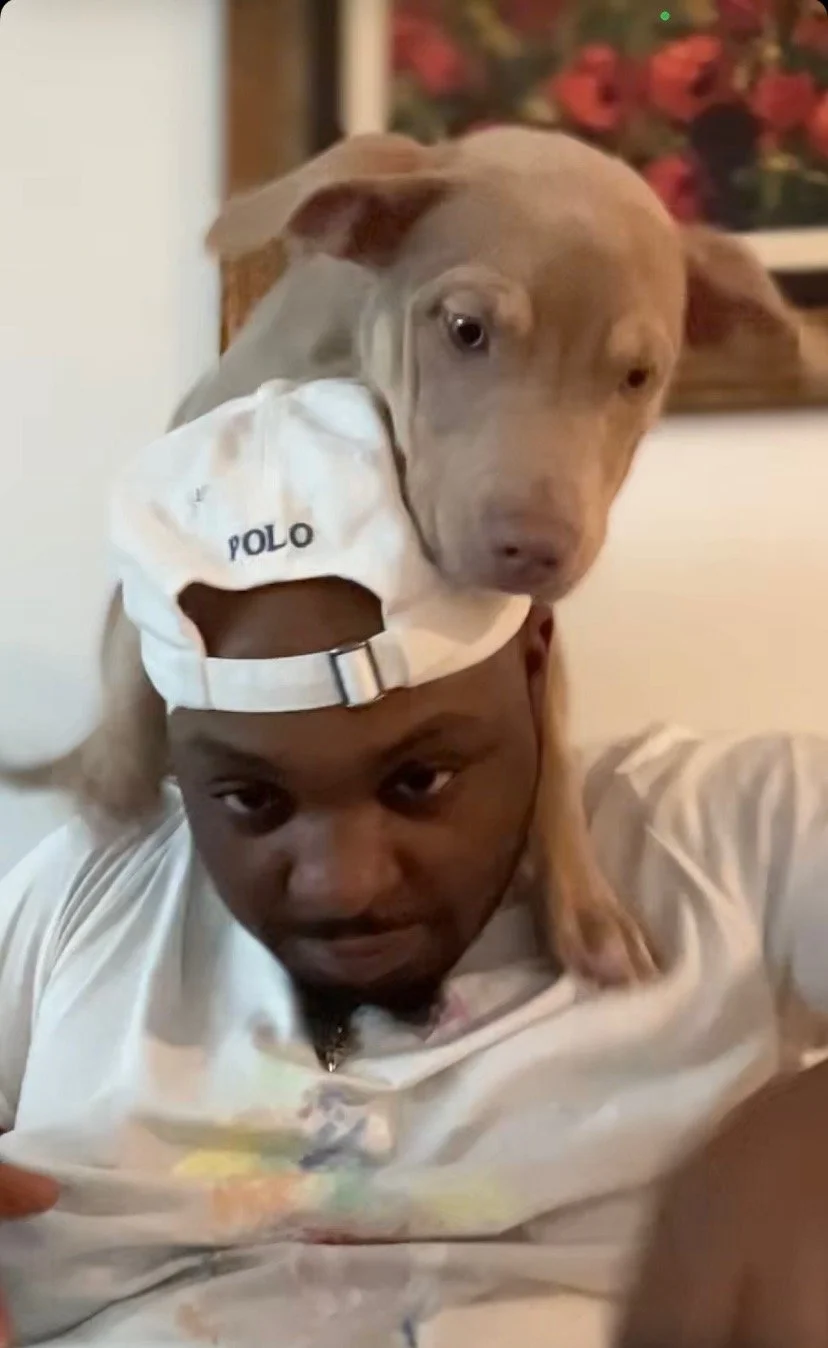 Thank you for helping with Shiba's surgery!