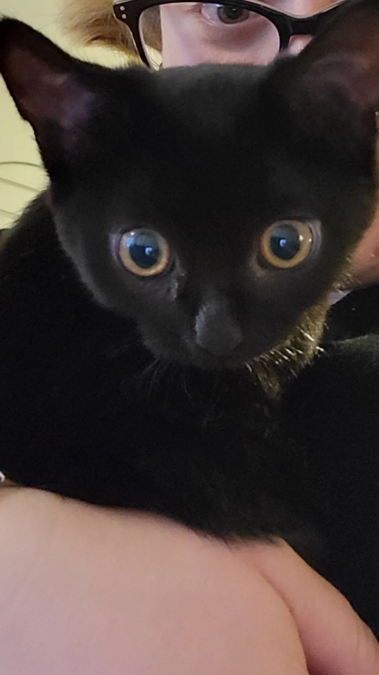 Thank you for helping TK, a ray of sunshine.