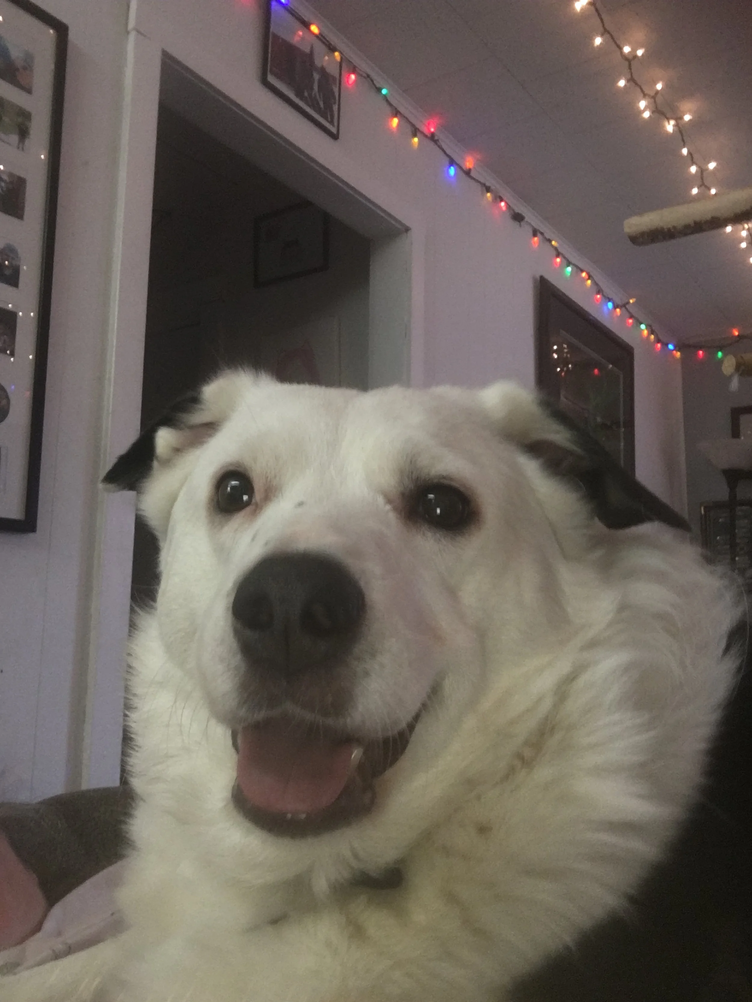 From my heart and soul I can not say enough words of thanks for helping Yukon.