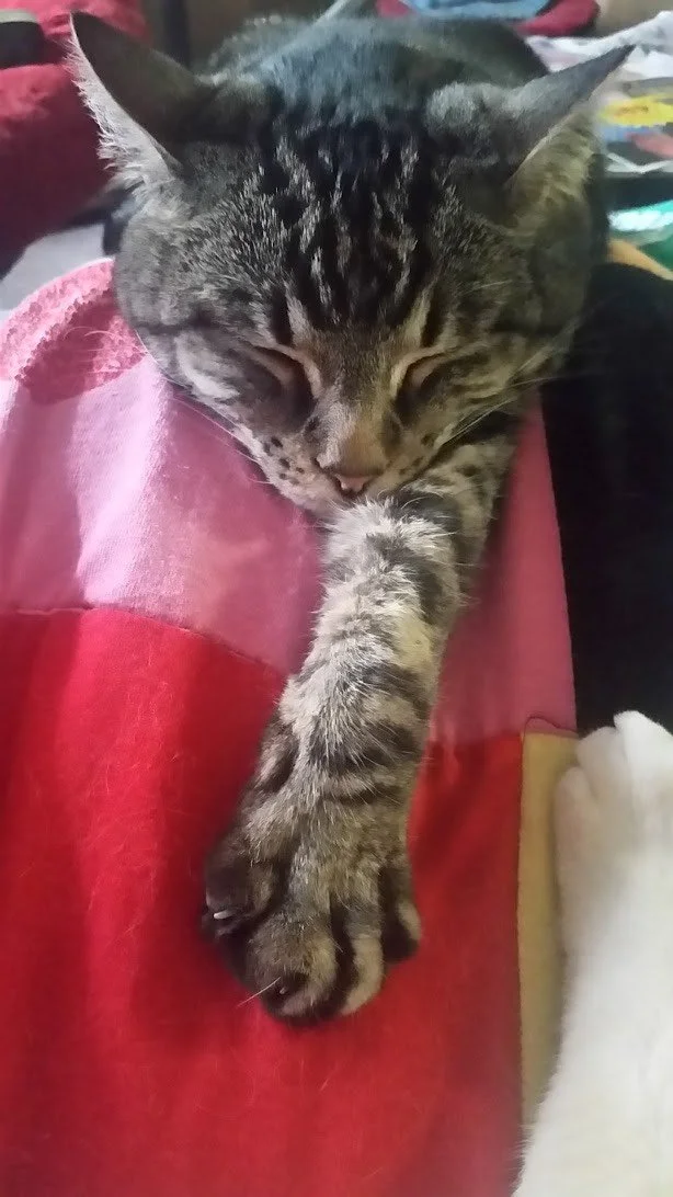 The Crawford family can’t thank you enough for your kindness in helping Henry stay Earthside.