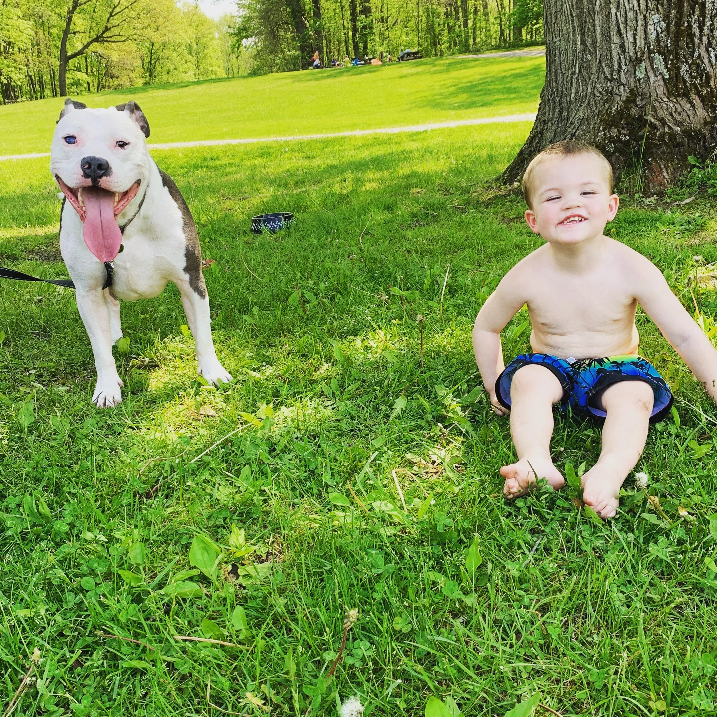 Thank you doesn't do justice. I can't imagine a world without Rue being right by my side.