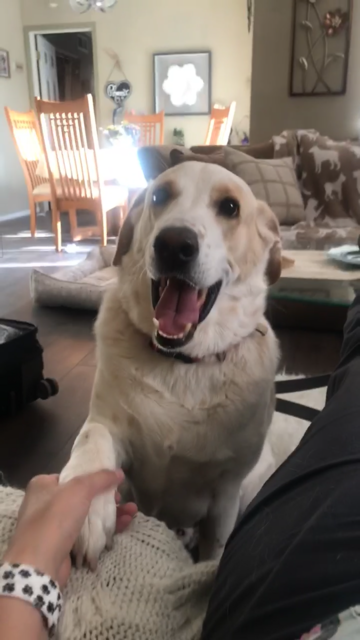 Wilber is my first baby, and we need each other, no matter what.