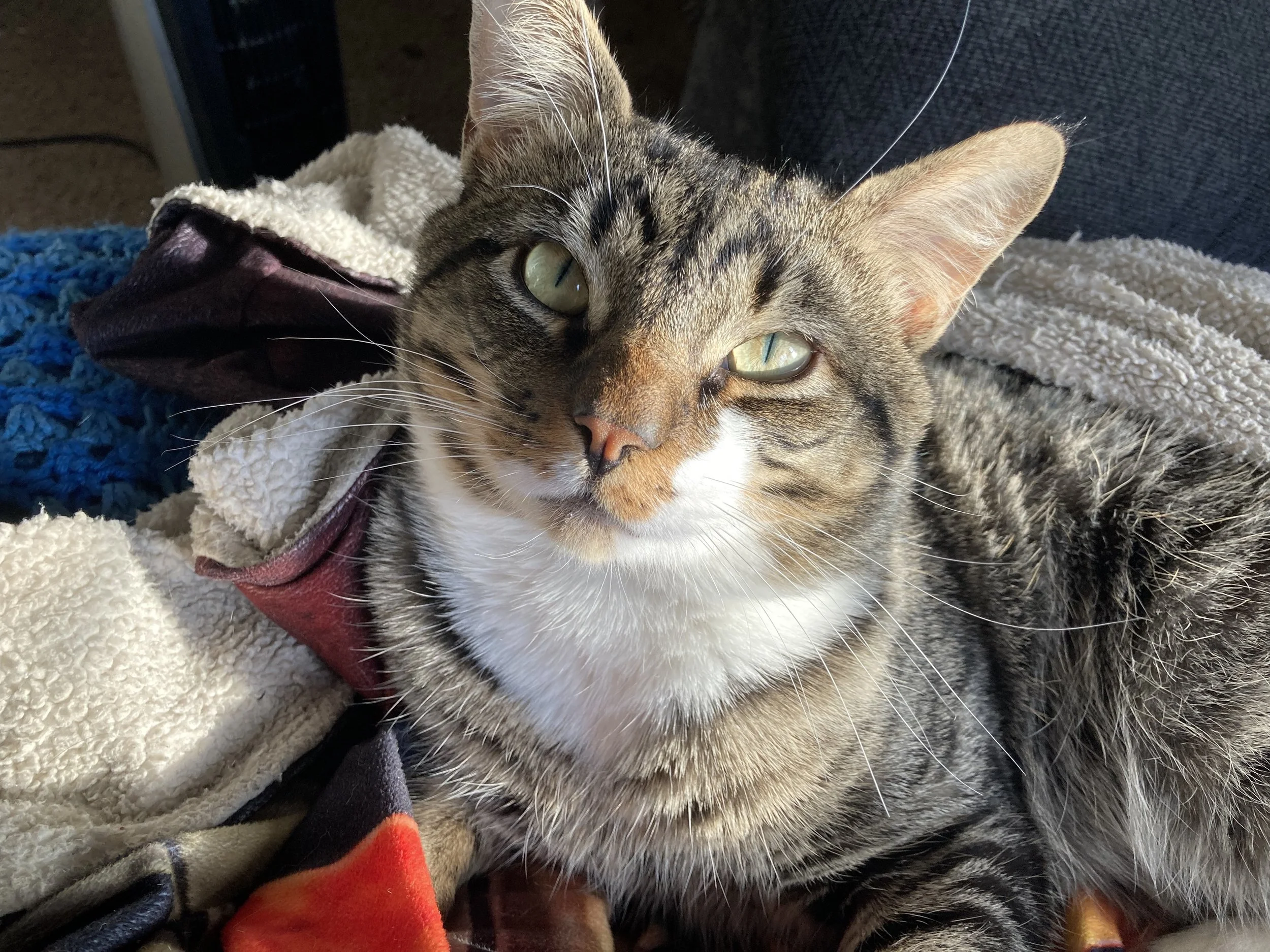 Thank you so much for helping Kylo with your donations!