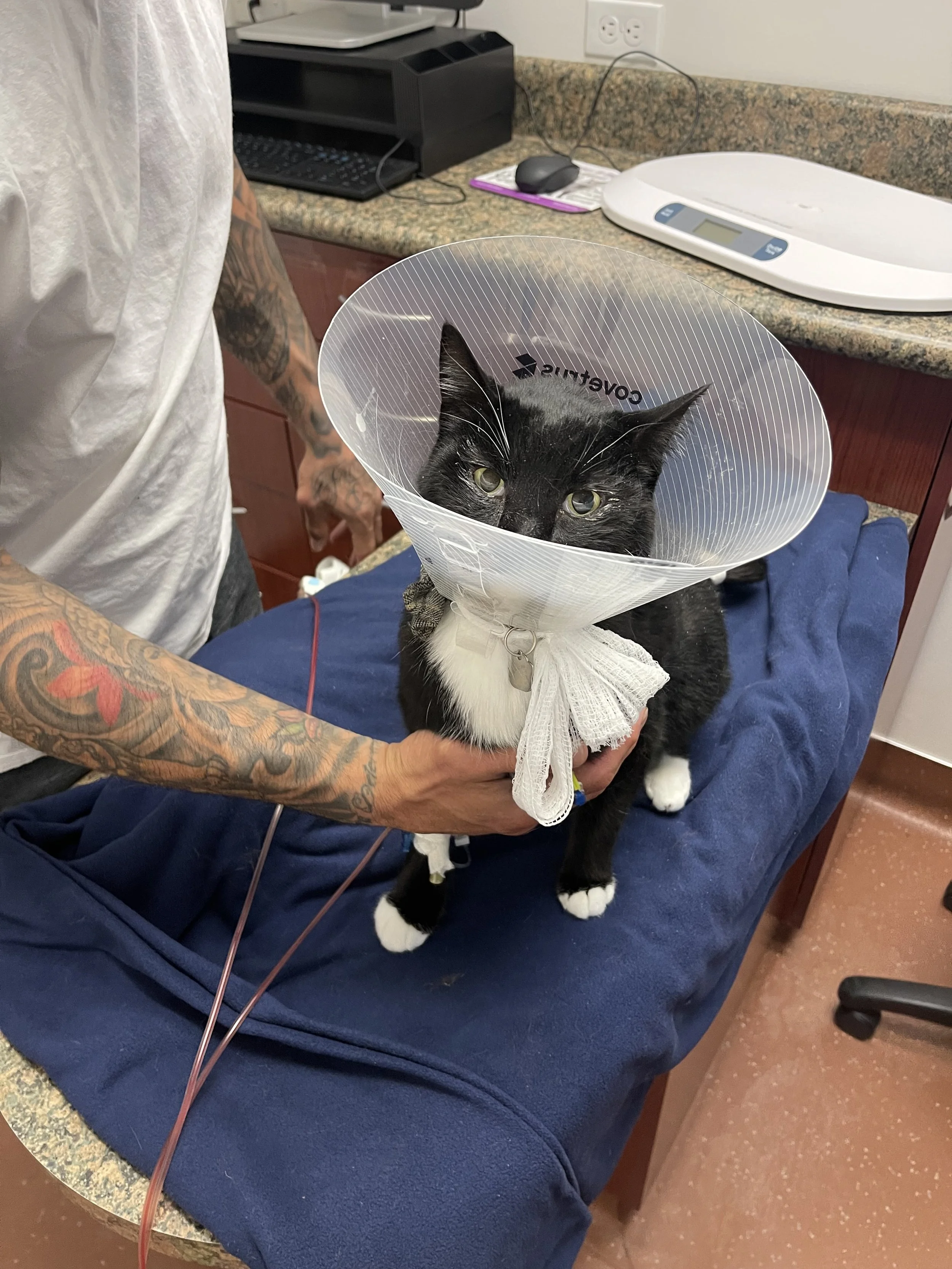 Milo means the world to us.