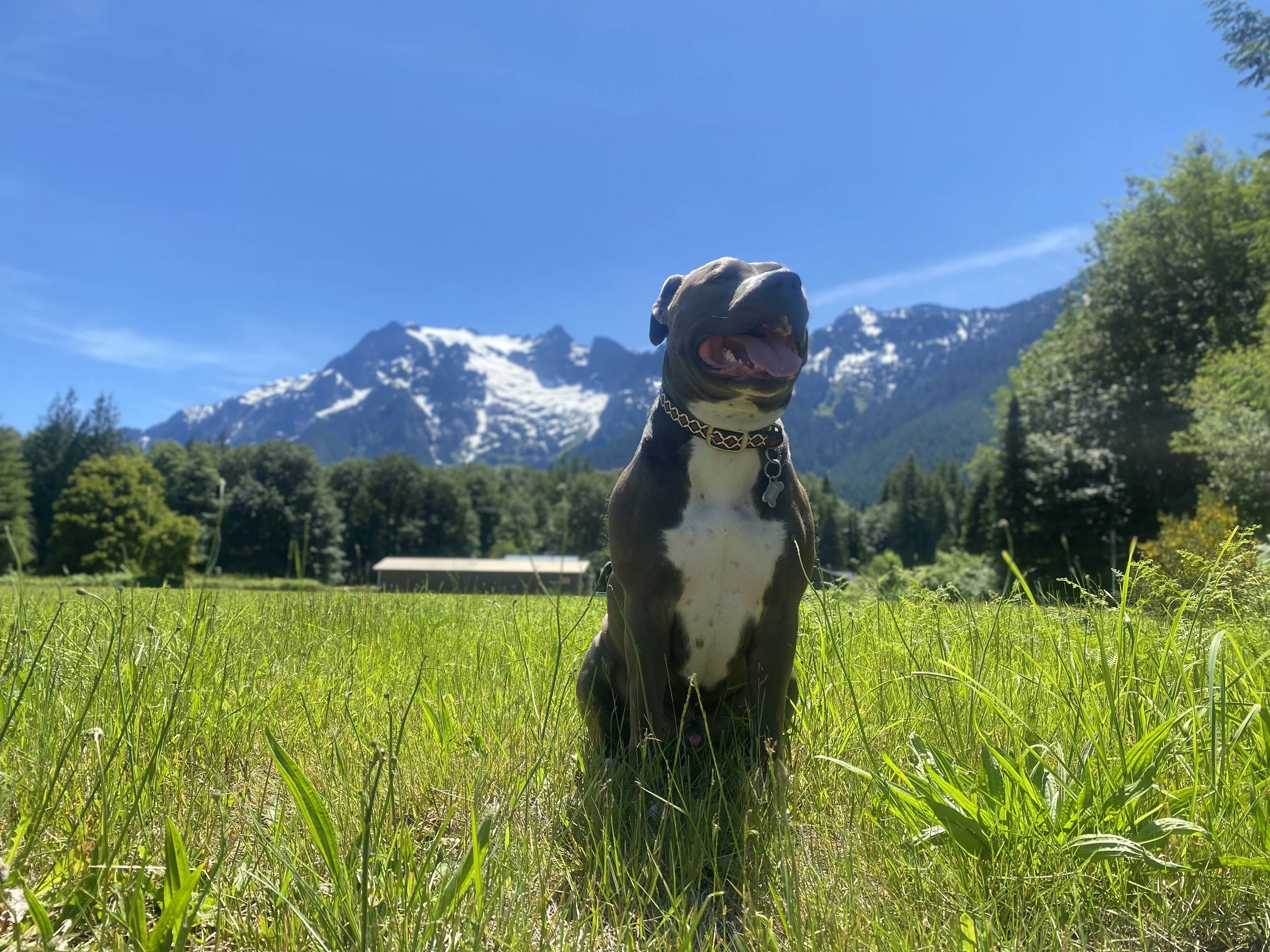 Thanks for helping Blue. Community and helping out others is what it’s all about.