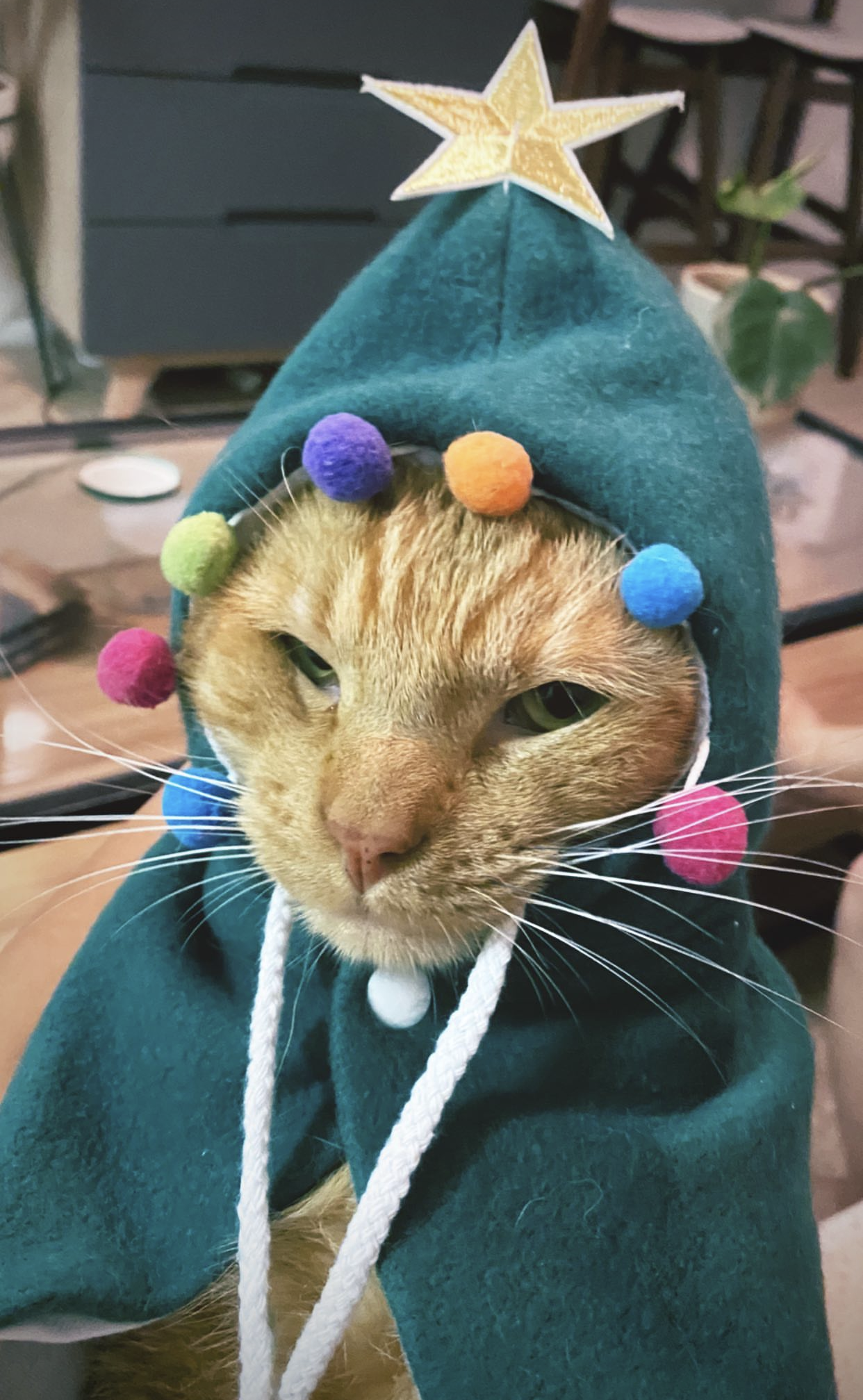 Pineapple is my best friend and I could never live without him.