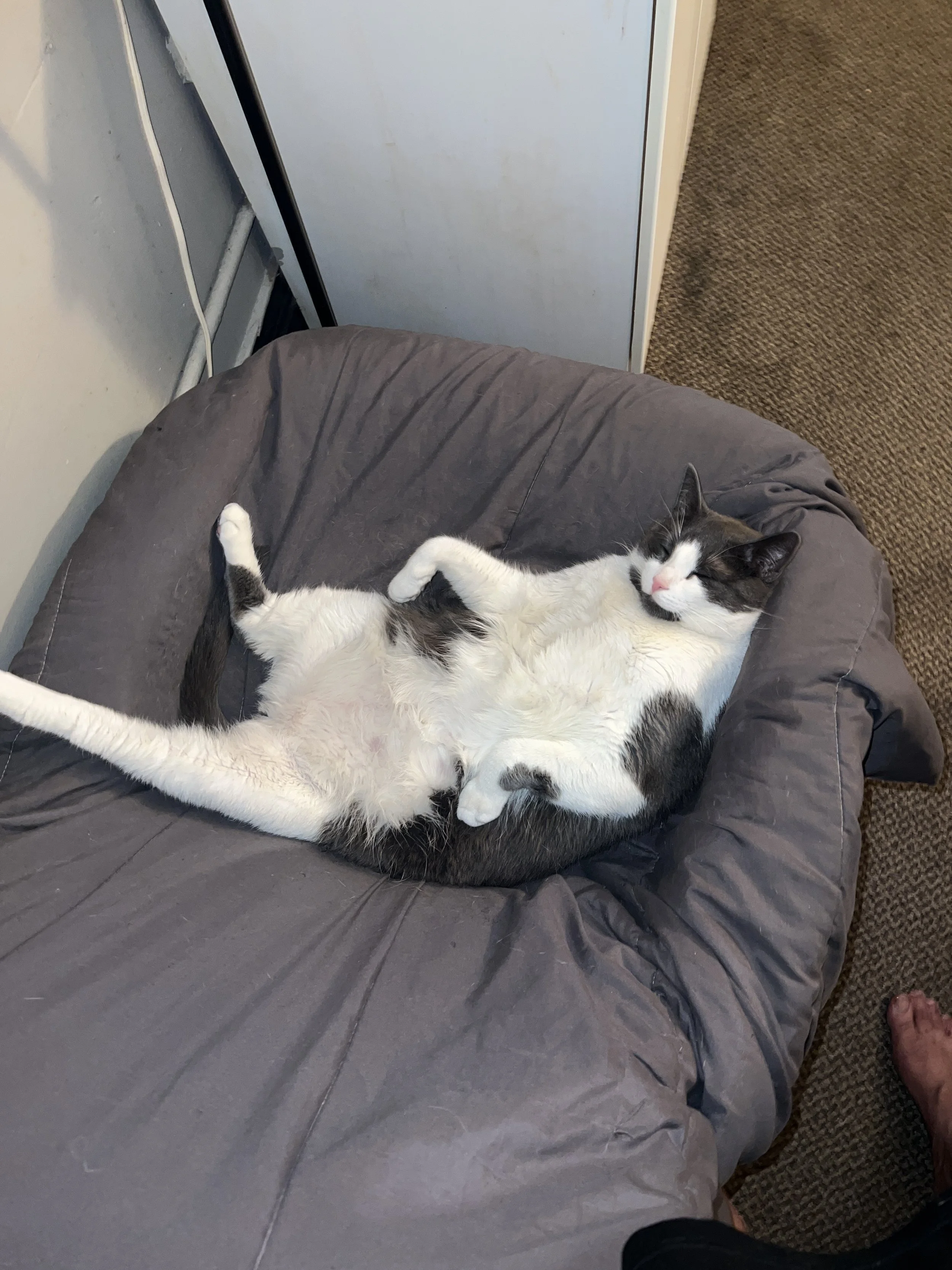 I want to thank everyone. This means so much to me. I don’t know what I would do without my cat Rudy.