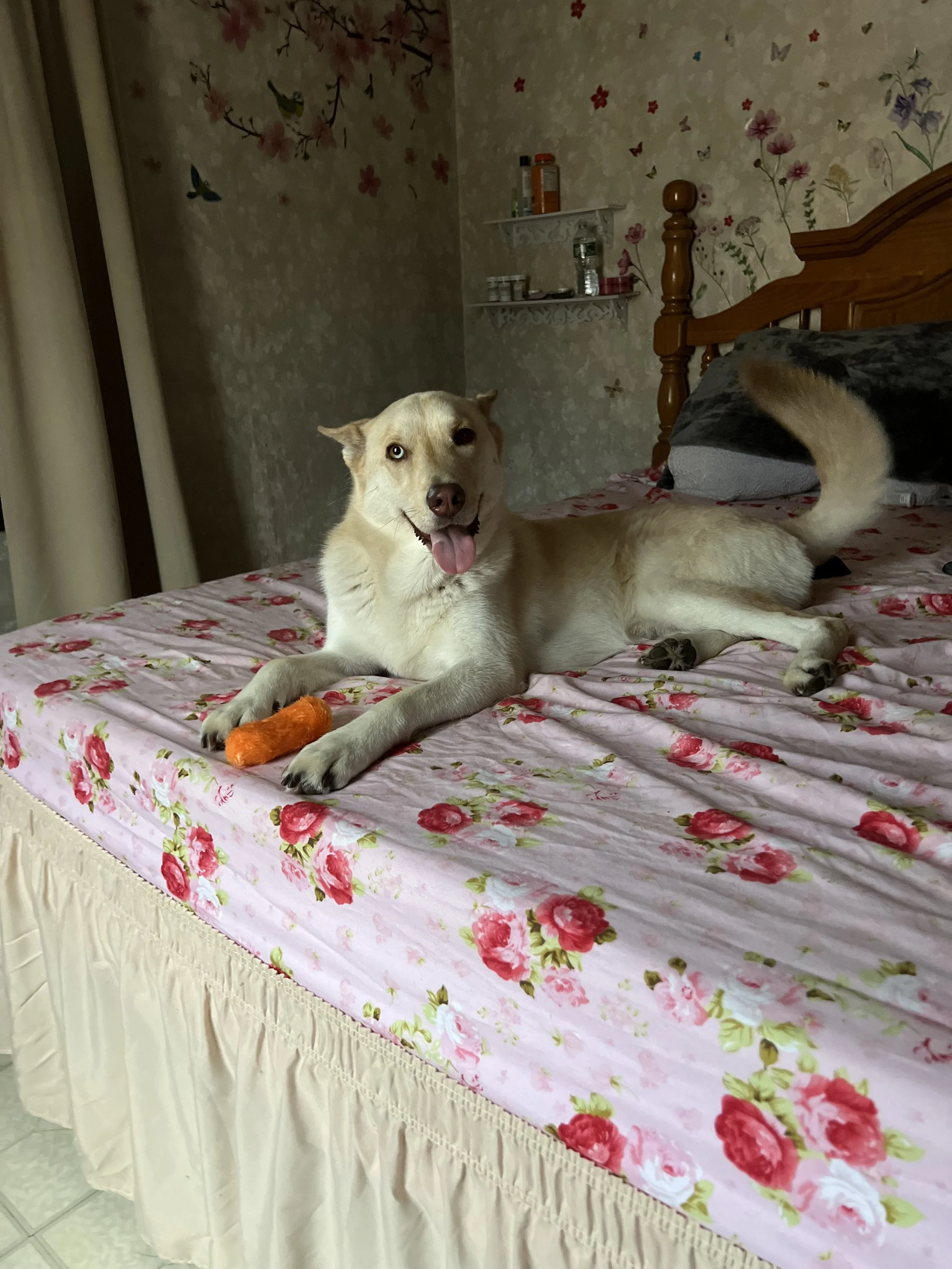 MJ is my life line and I feel like my entire life is rooted in MJ.