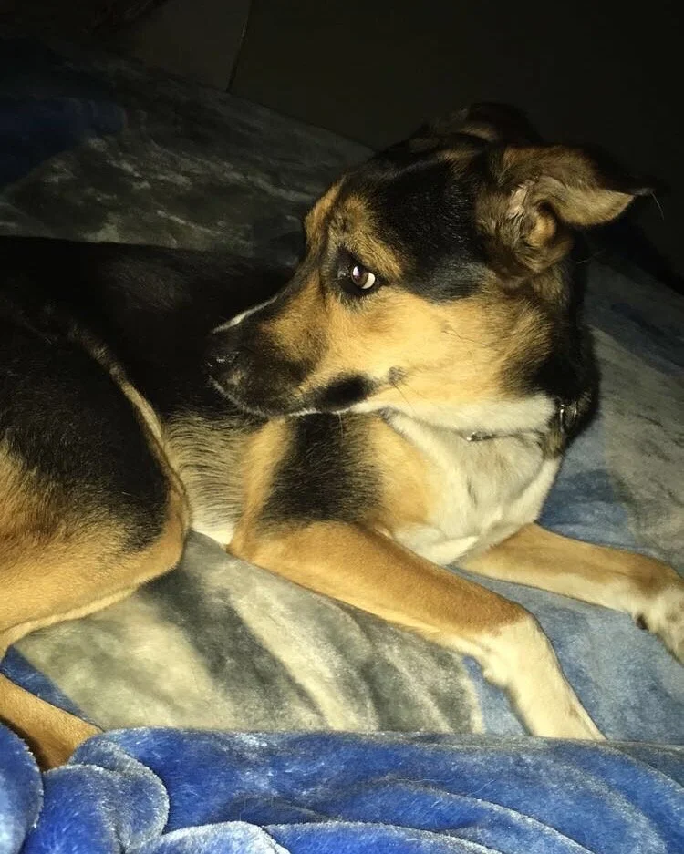 I would like to thank all of donors for helping me give my dog Jax a second chance.