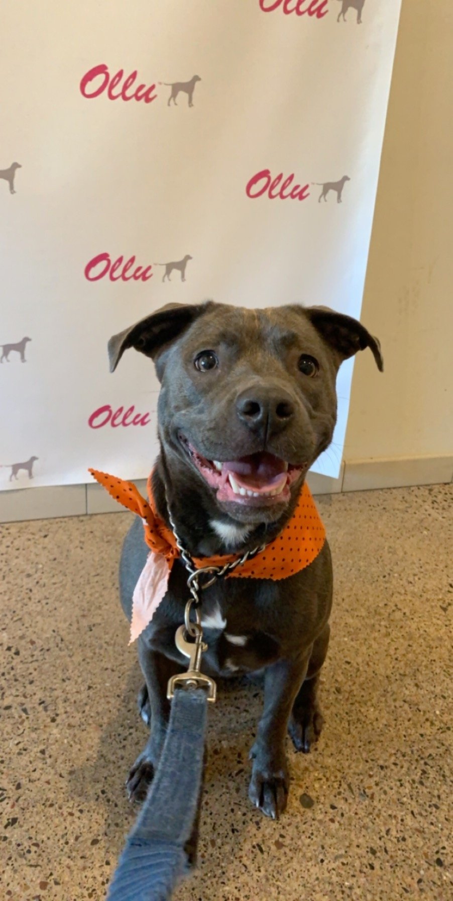 Your help is greatly appreciated. Thank you for helping Zadie.