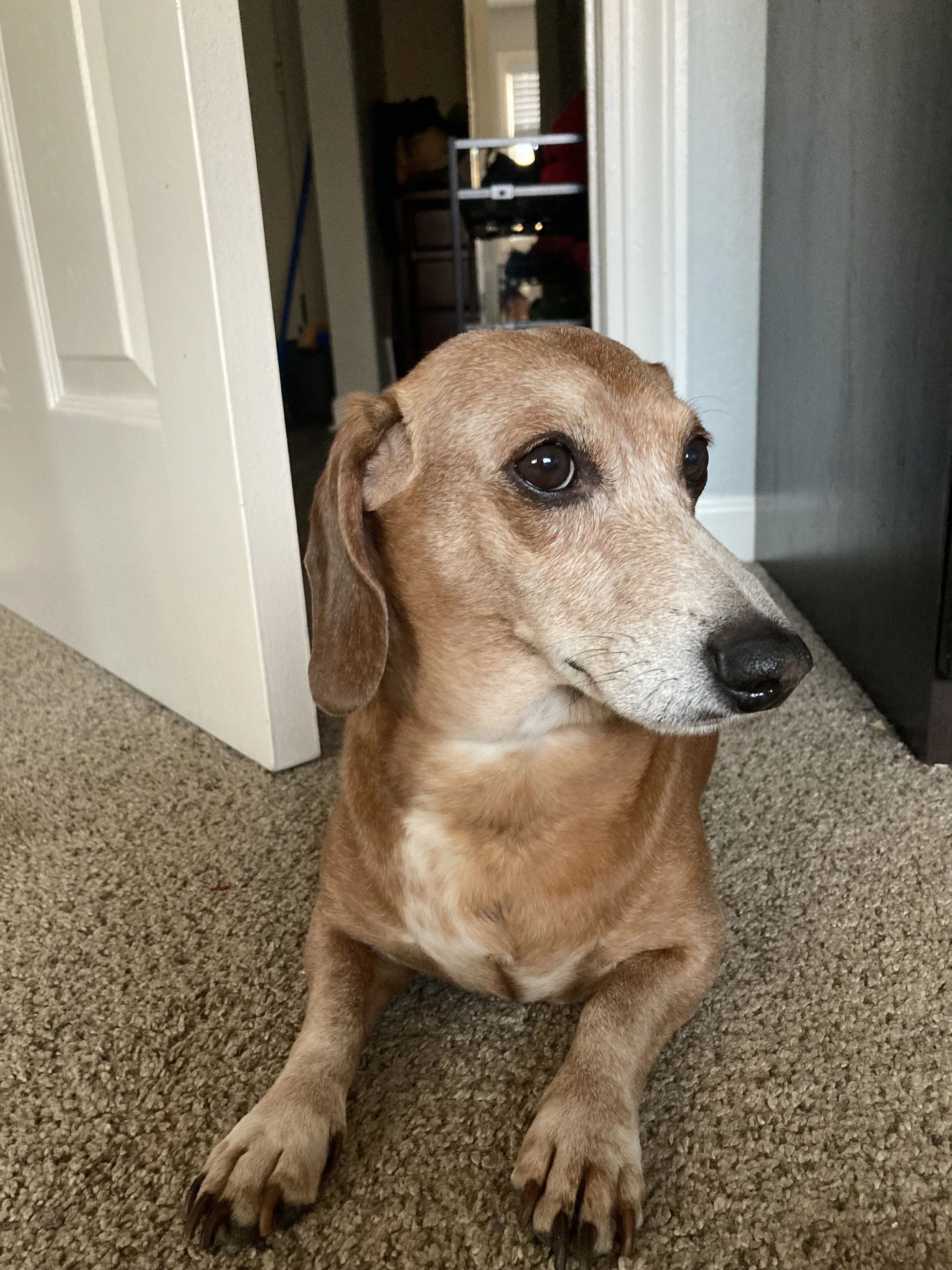 Your compassion has touched my heart, and we are forever grateful for your helping Bobby.