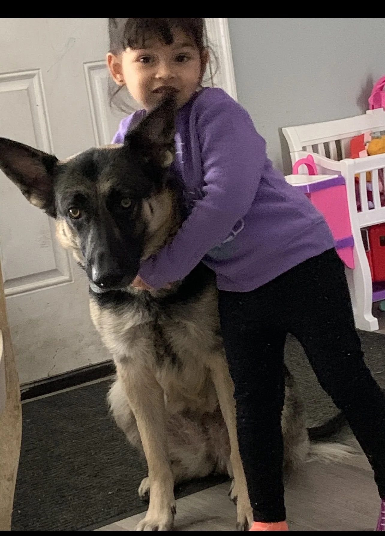 Thank you for all you do to help our fur babies like Storm.