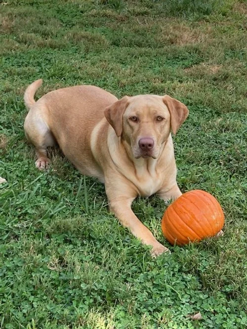 Bonnie is doing great I really do appreciate everybody.