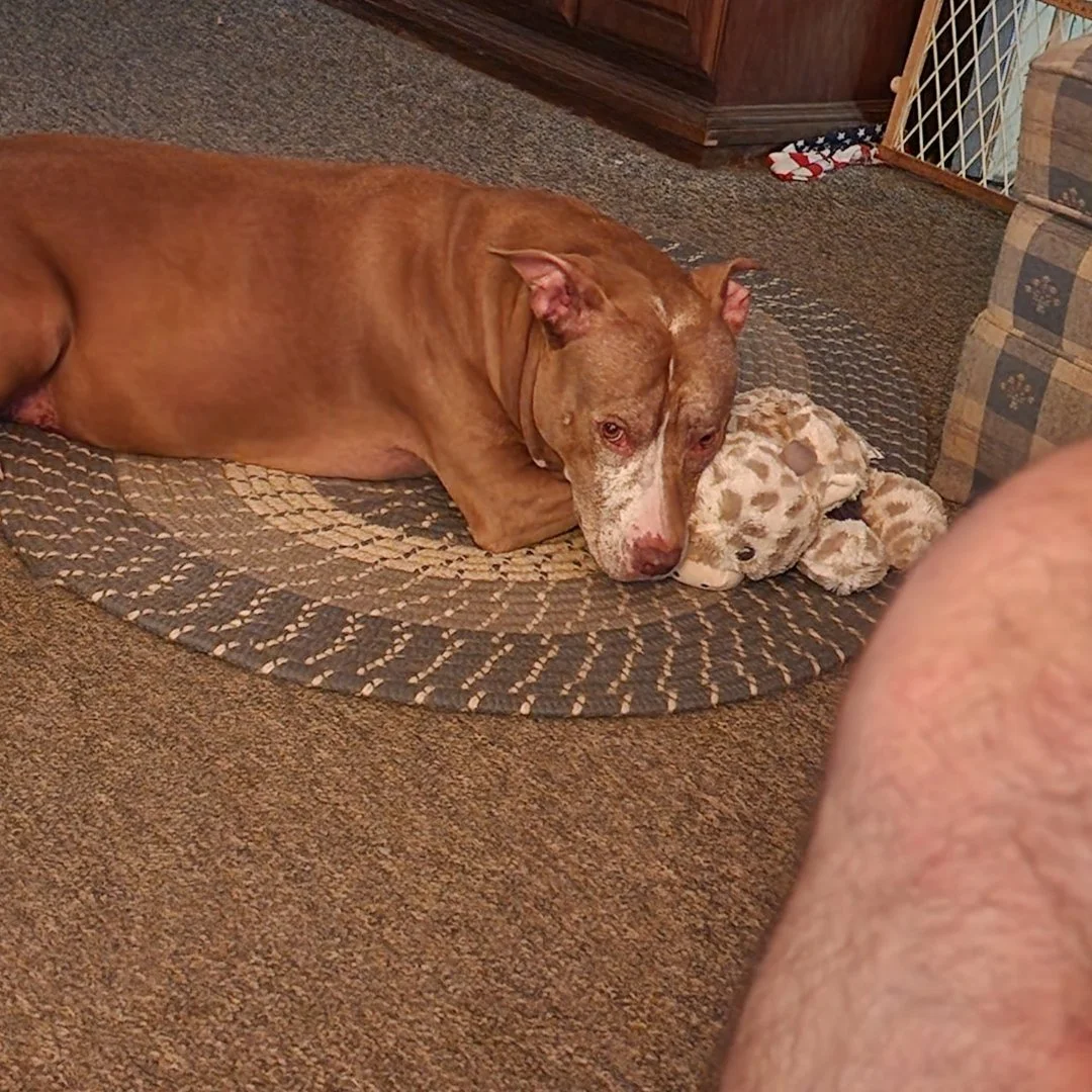 Reese is such a loving girl who is a huge part of our family.